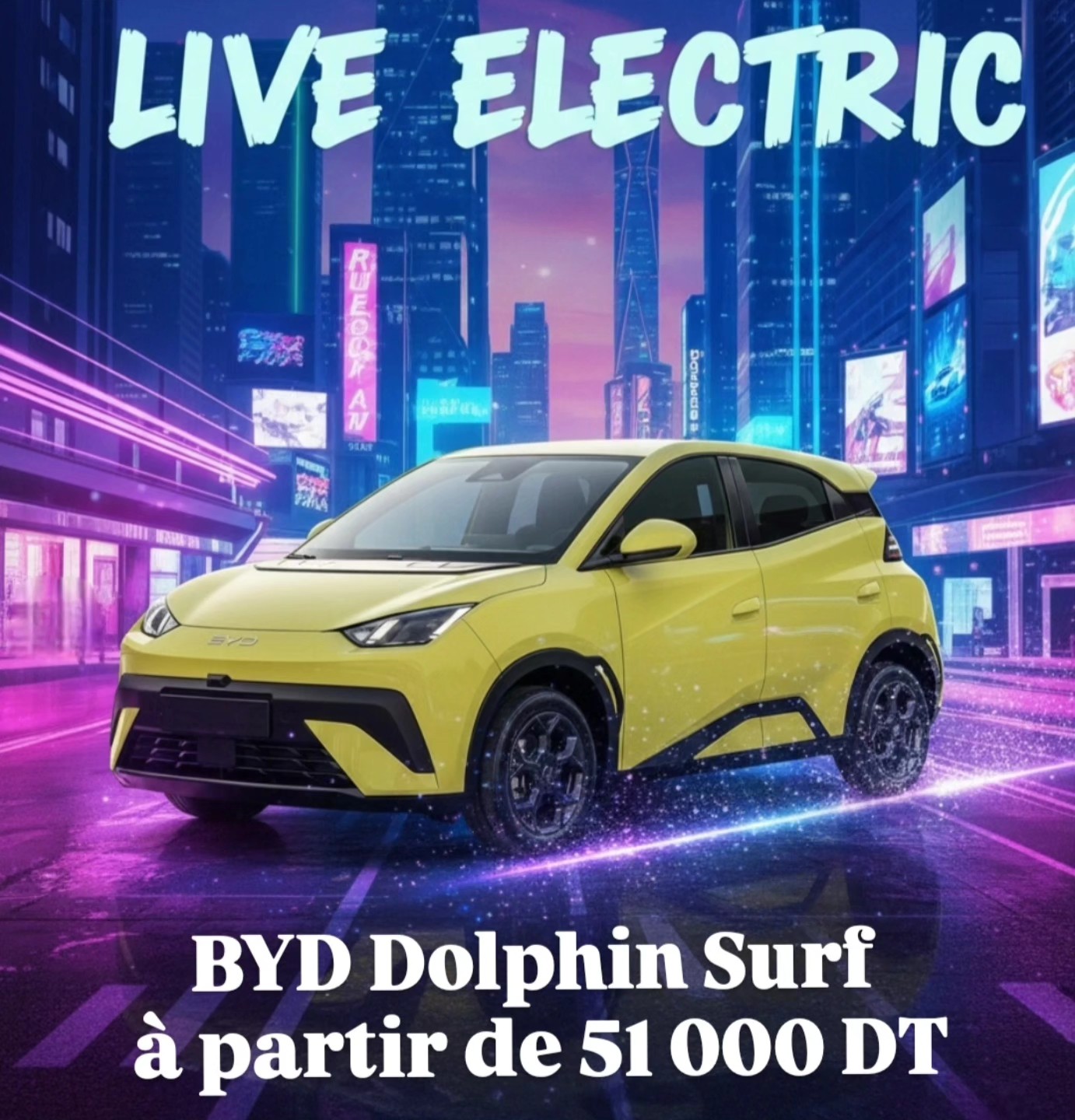 Société Leader Auto