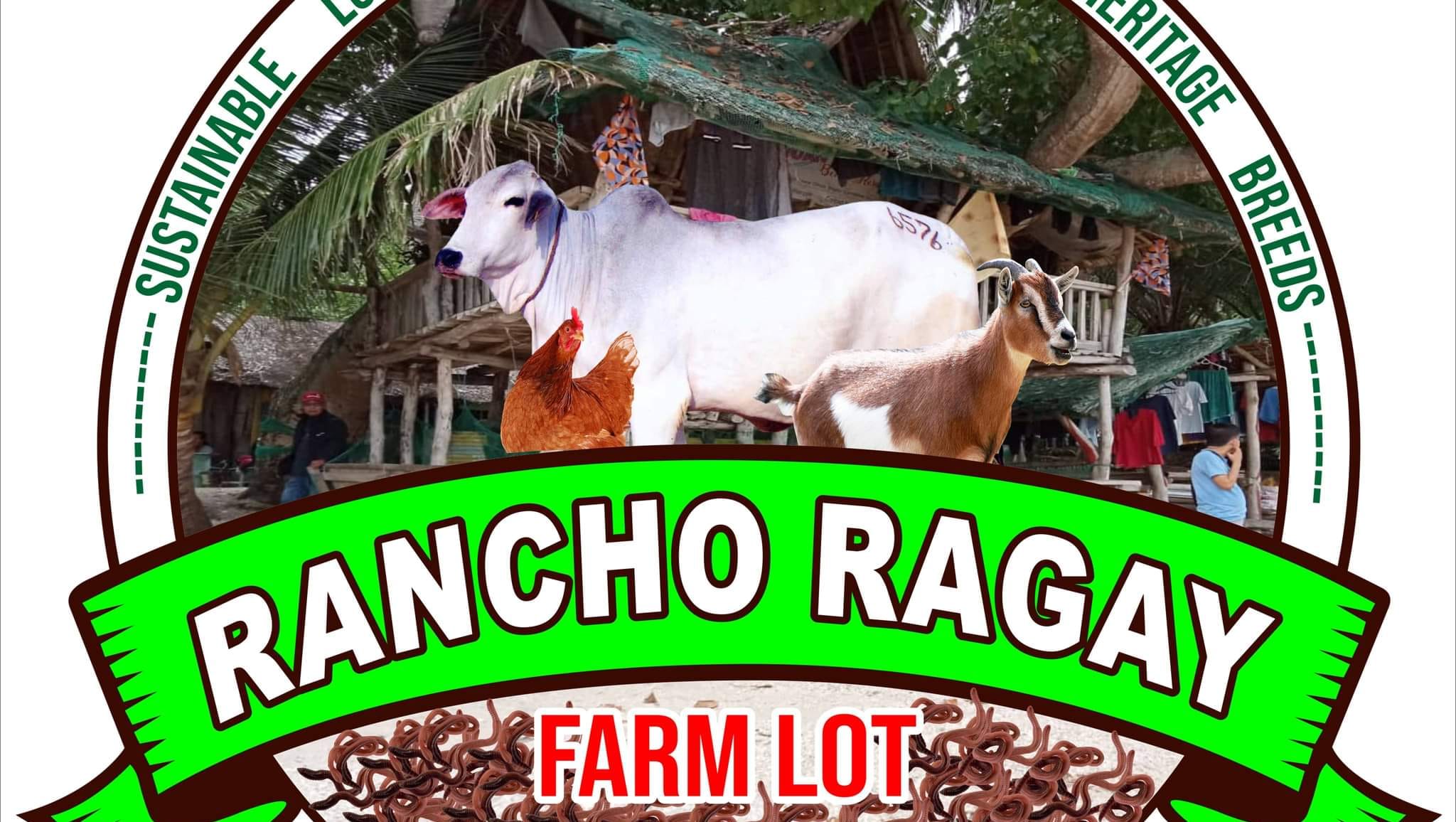 Rancho Ragay | Ragay