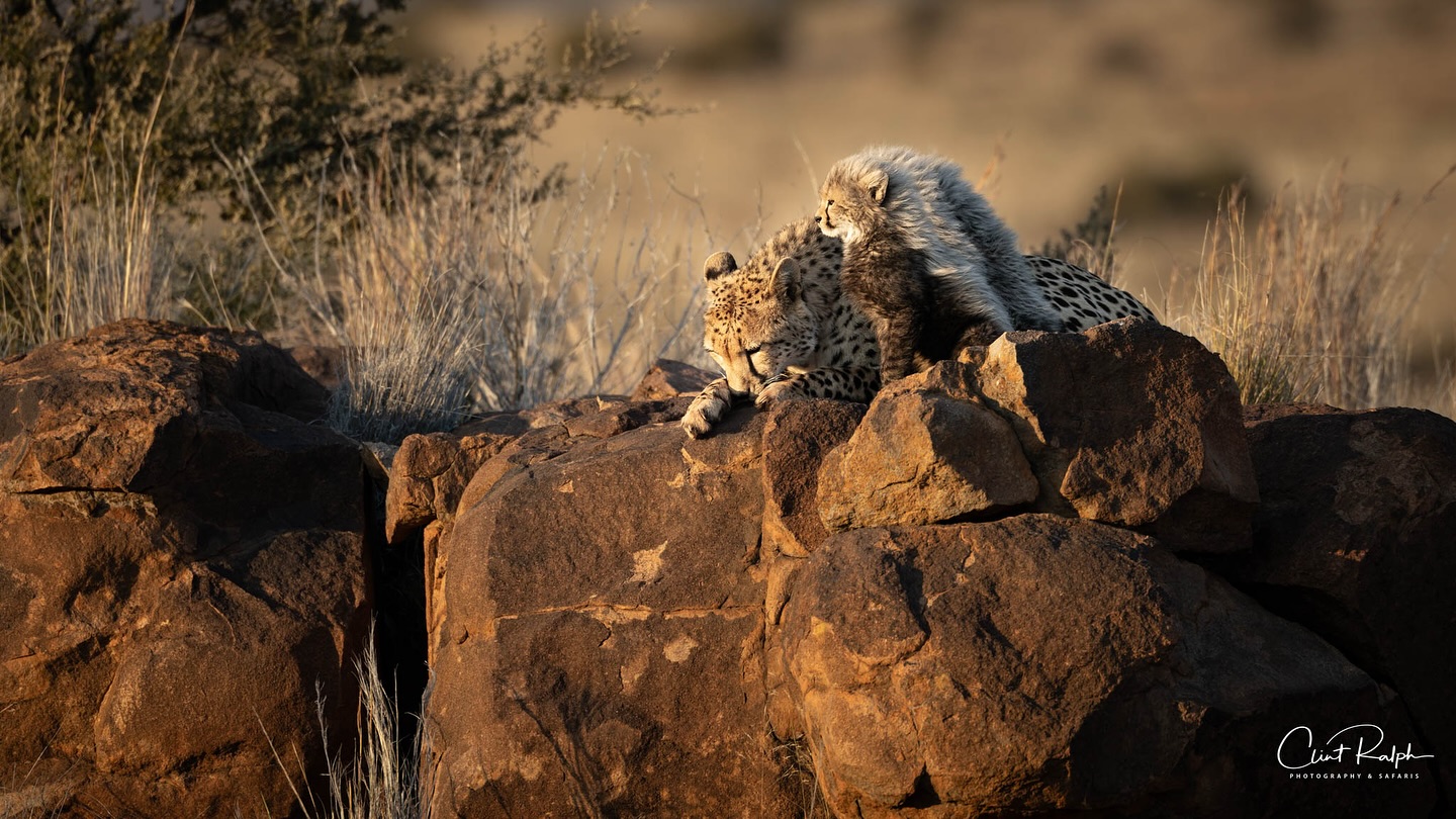 Clint Ralph Photography added a... - Clint Ralph Photography