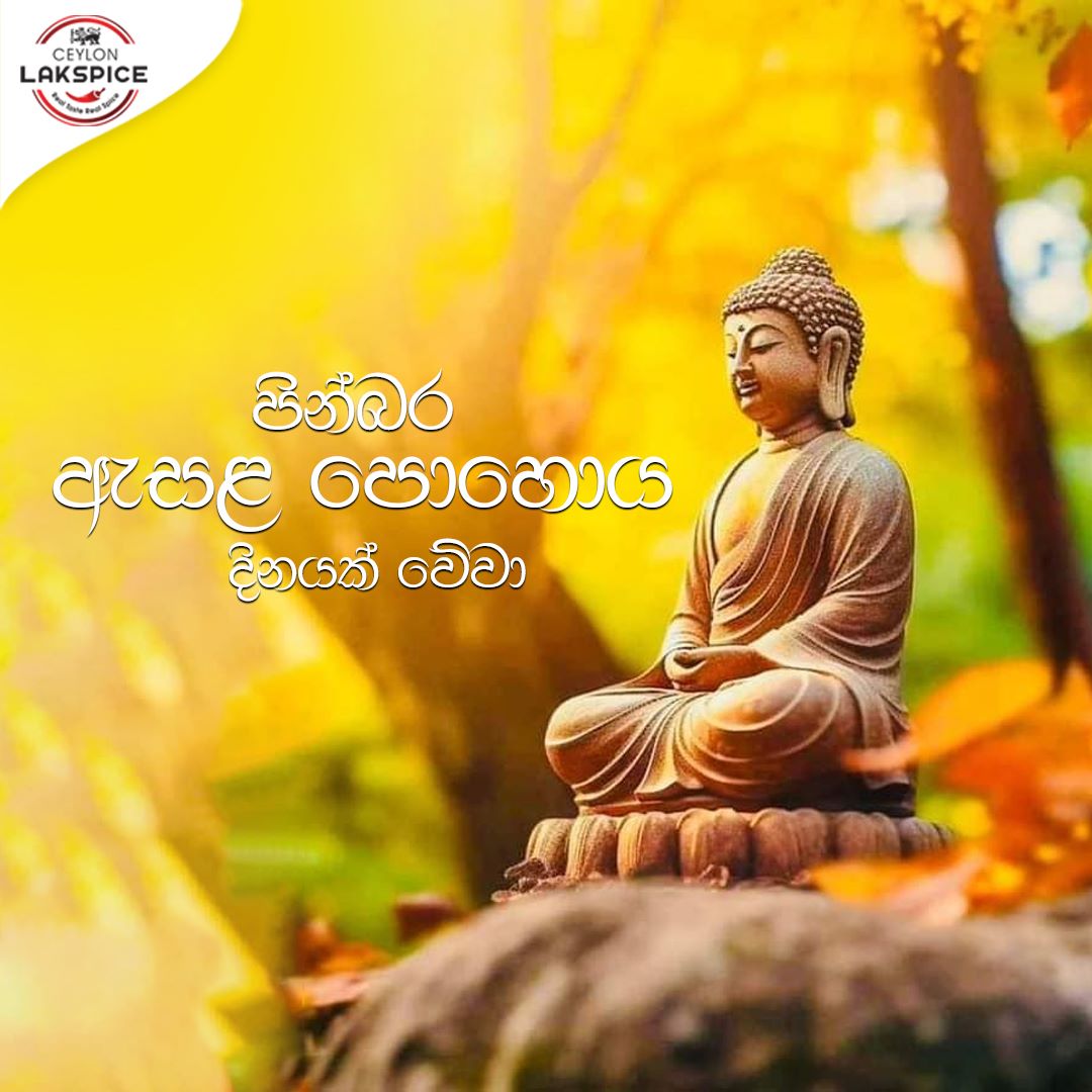 Ceylon Lakspice | Puwakpitiya