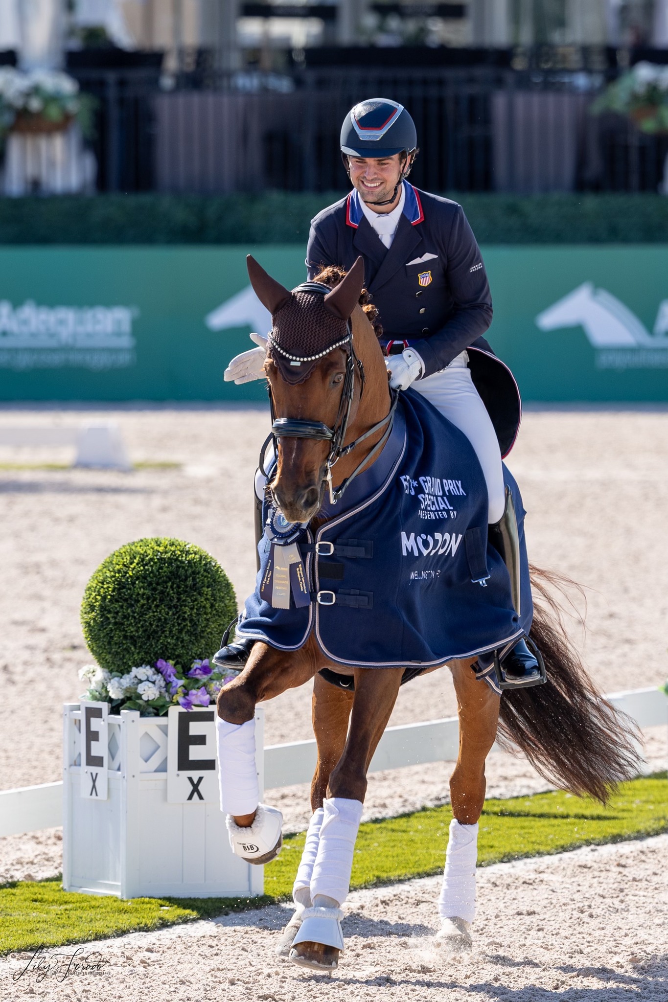 Zen Elite Equestrian Center... - Zen Elite Equestrian Center