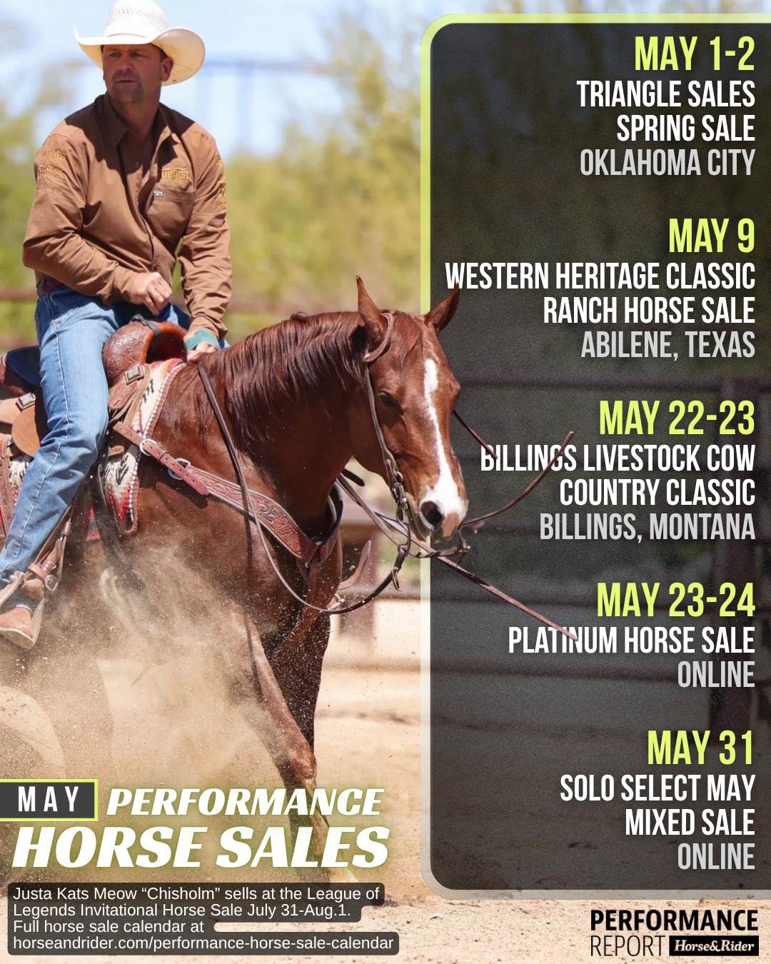 おまとめ3点 It's time to go horse shopping! Here are the standout performance