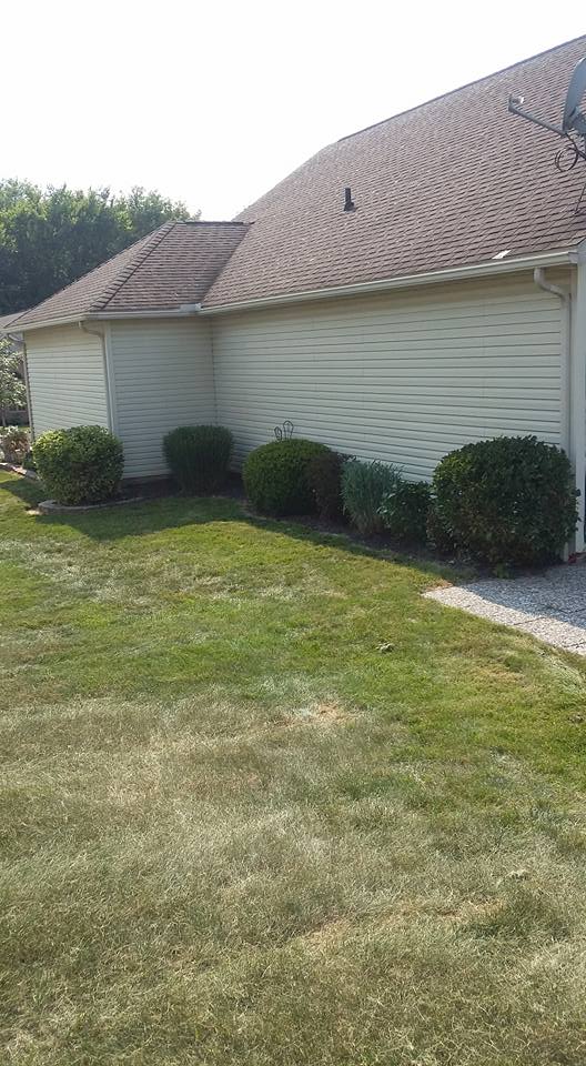 Top Notch Tree & Landscape | Knox County OH