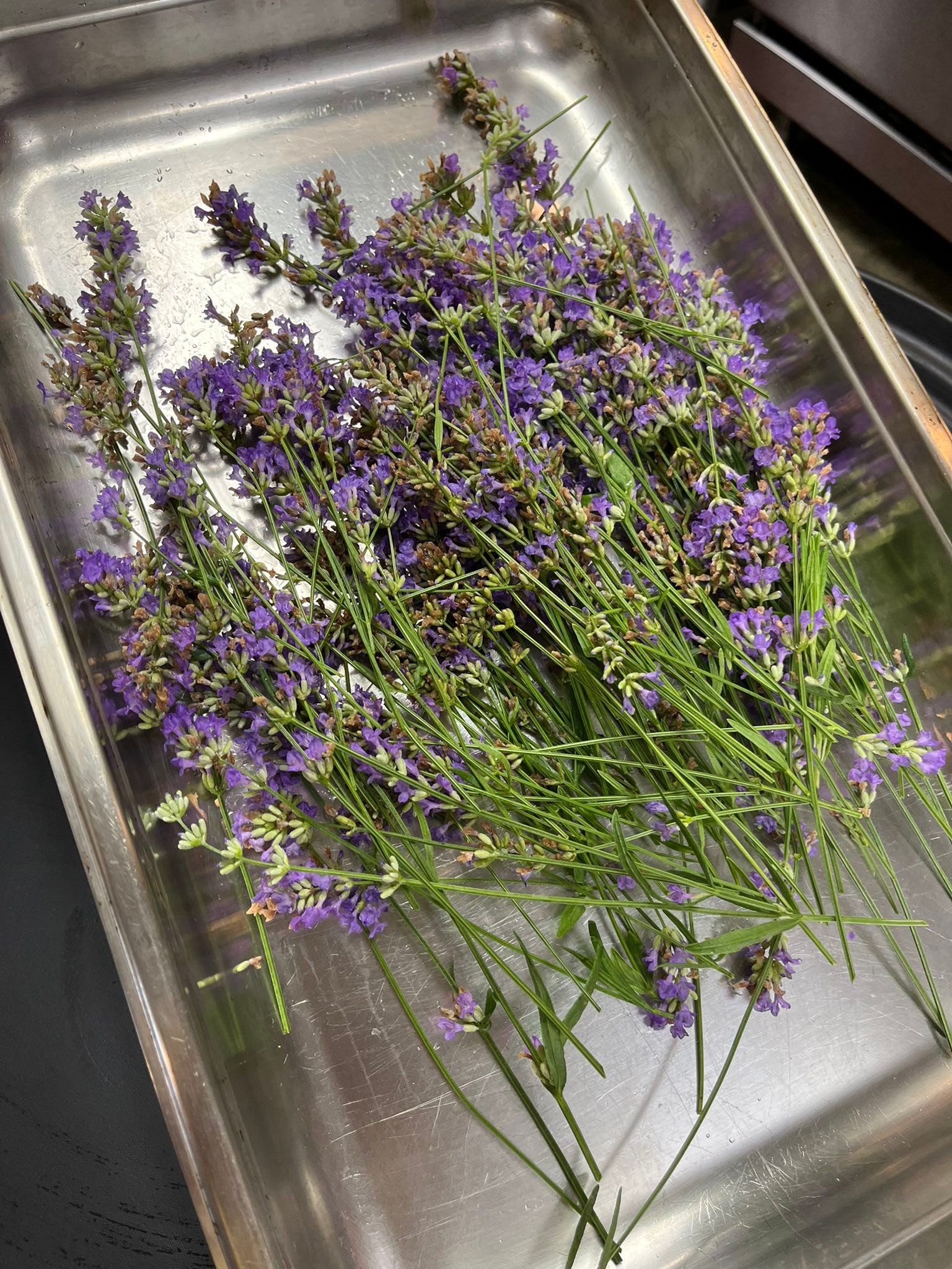 The Grafted Root Eatery added a... - The Grafted Root Eatery
