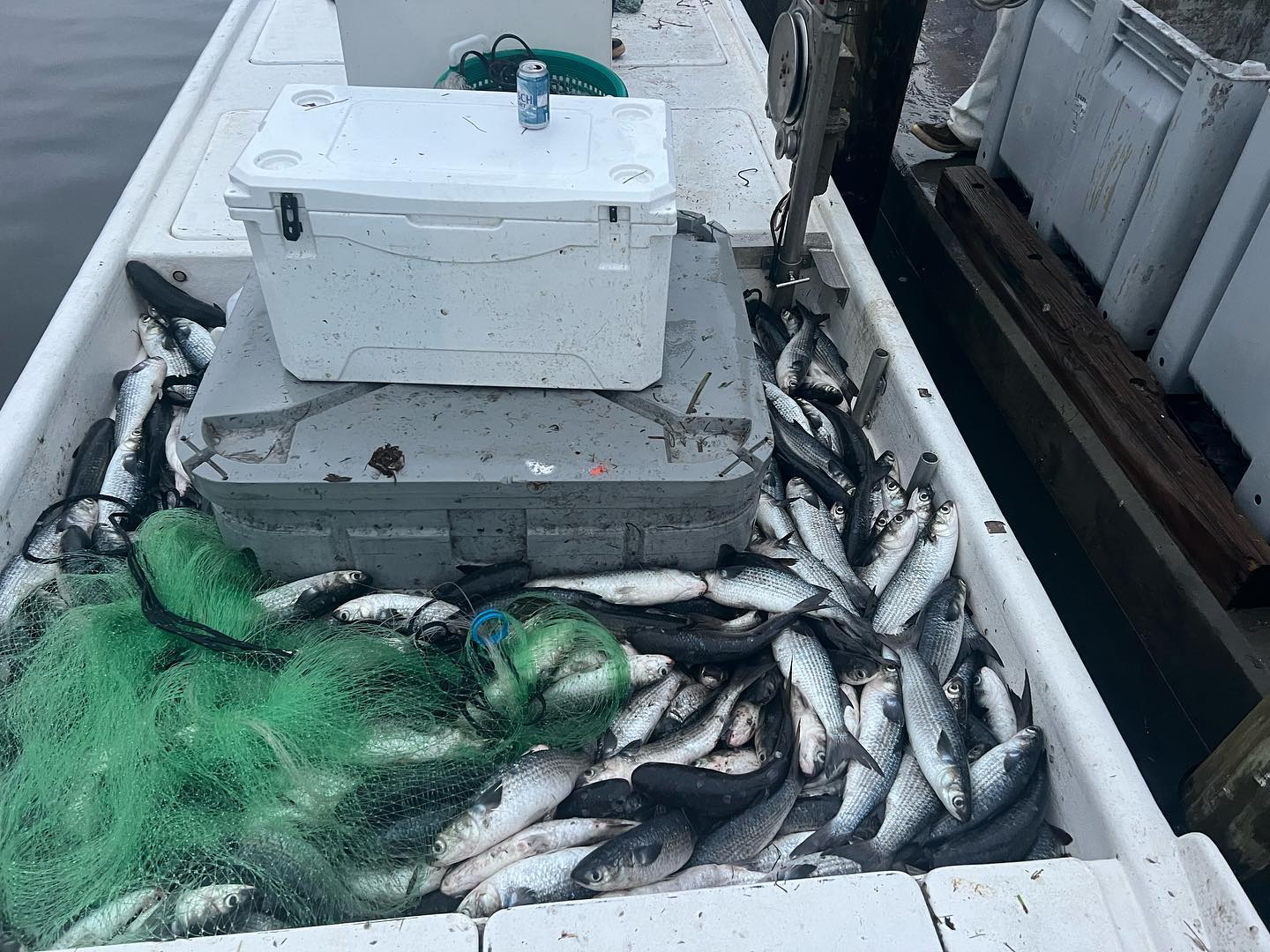Native Charters, LLC | Bradenton FL