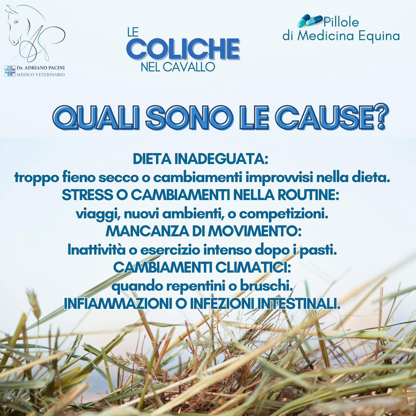 Dr. Adriano Pacini - Medico Veterinario Ippiatra
