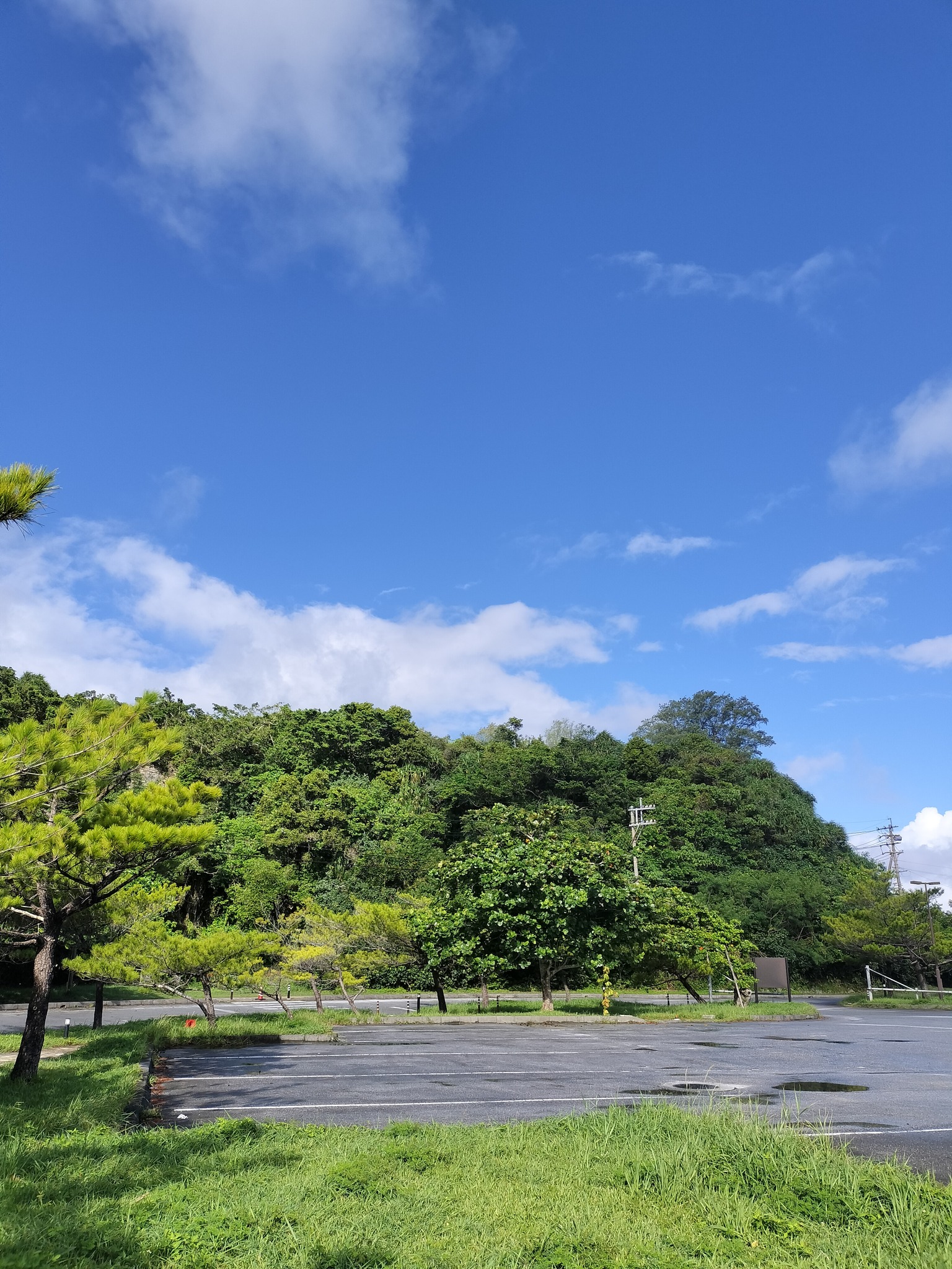 当時のメディア報道・掲載写真