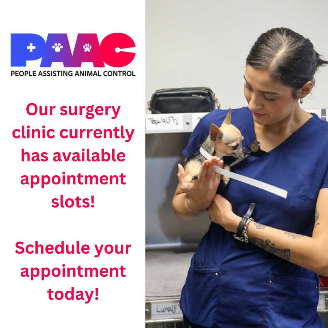 🐾 Appointments... - P.A.A.C.-People Assisting Animal Control | Facebook