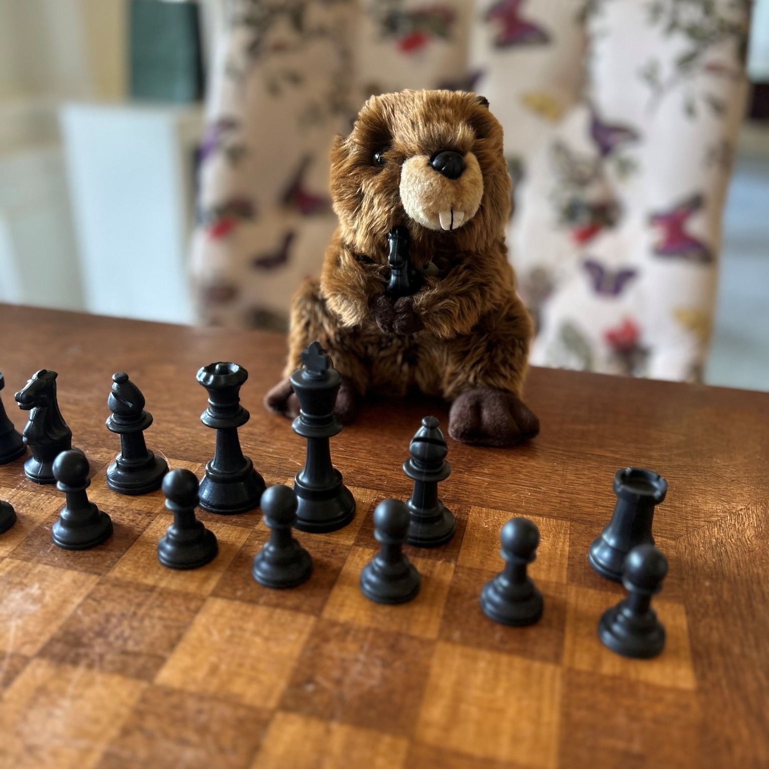 ACEC - 🦫 Meet Ace Beaver – the Official Mascot of ACEC Virginia! We’re ...