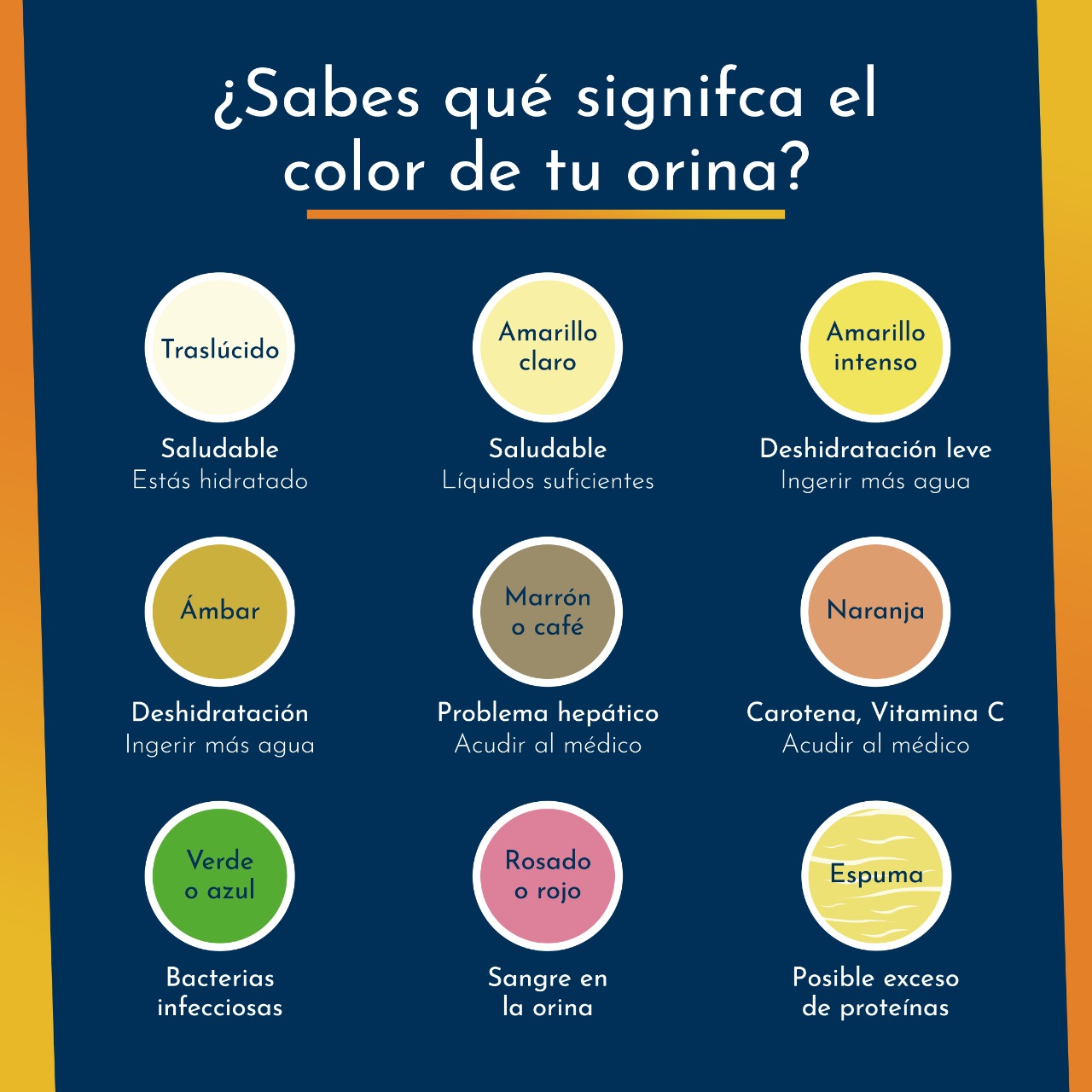Doctor - ¿Sabías que a través del color de tu orina puedes saber como ...