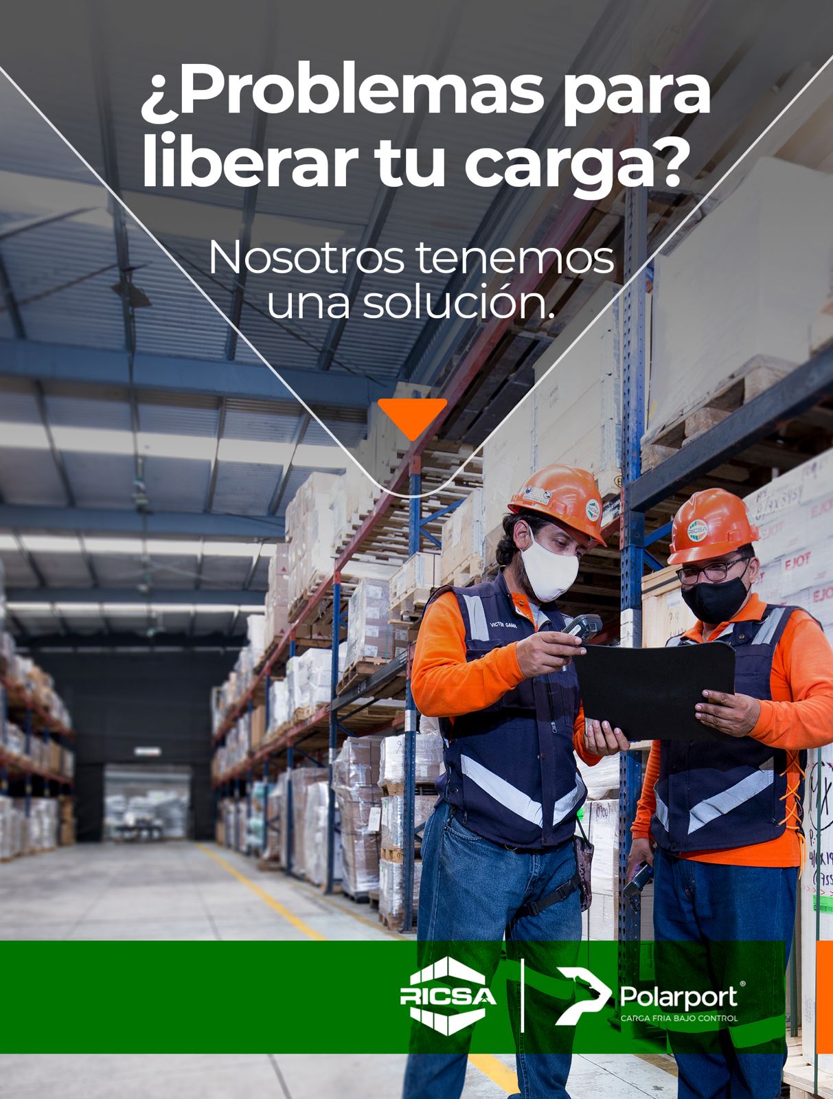 Ricsa | Veracruz