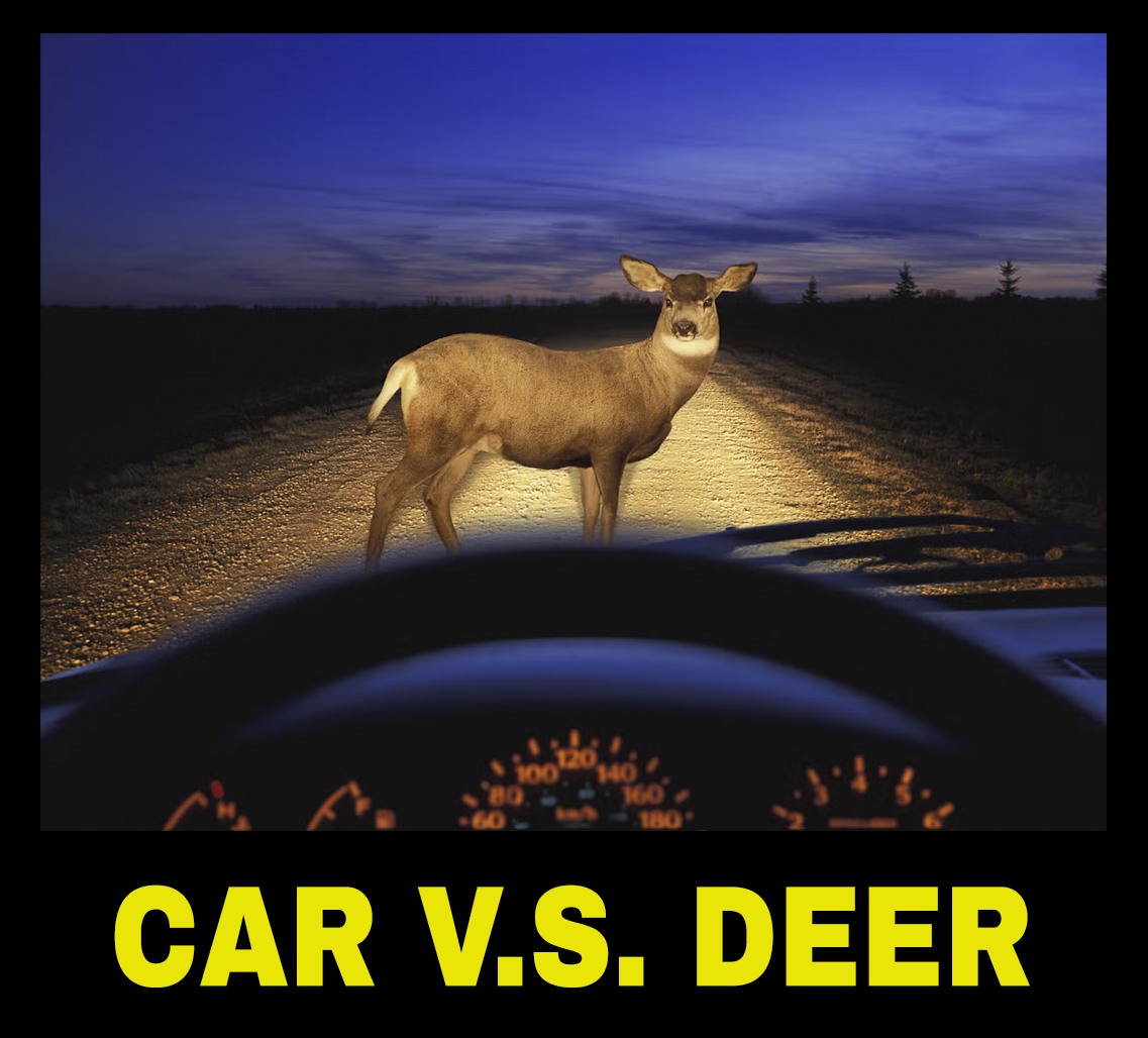 Midland - It's that season again, Deer are very active! Drive safely ...
