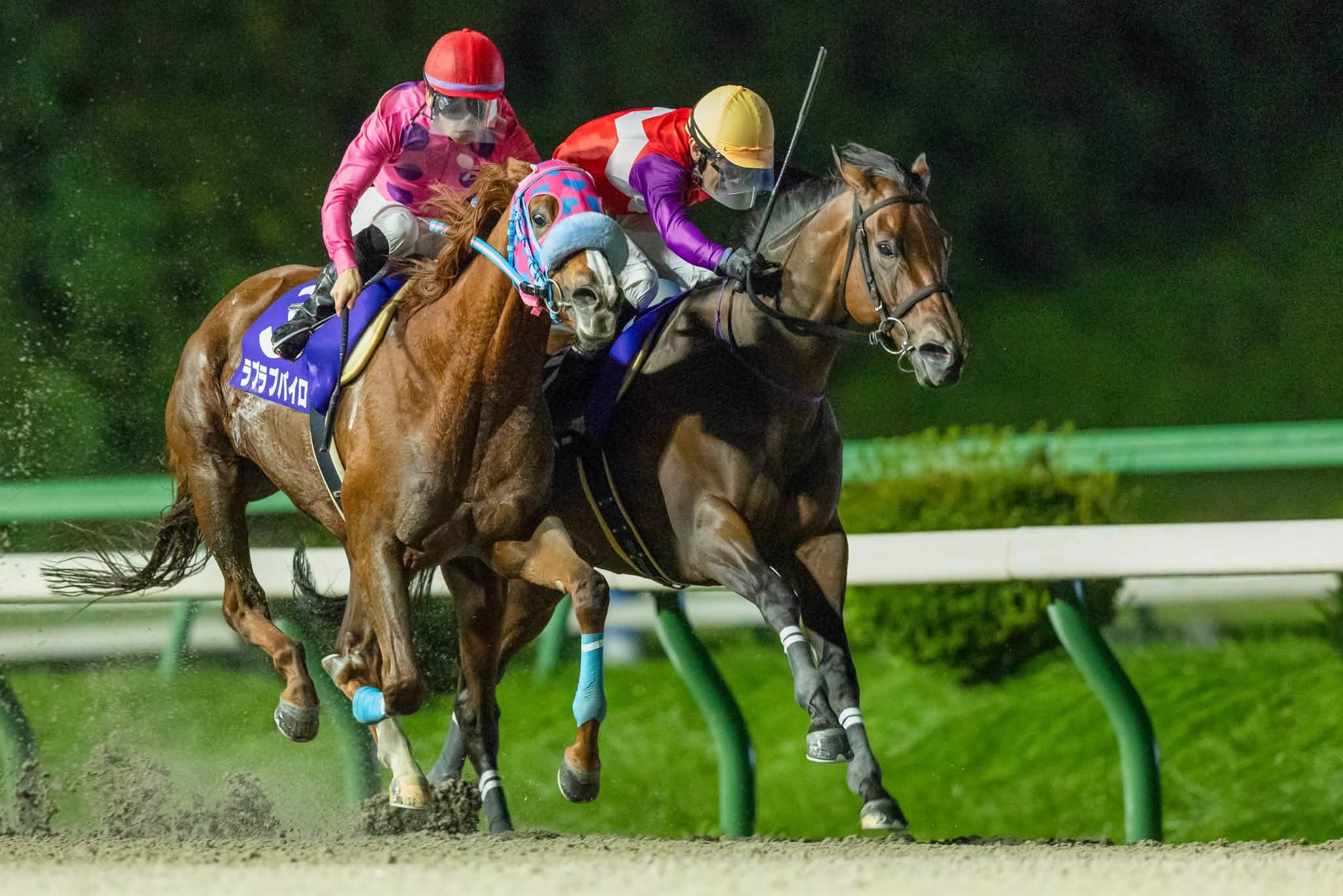浦和 競馬 場