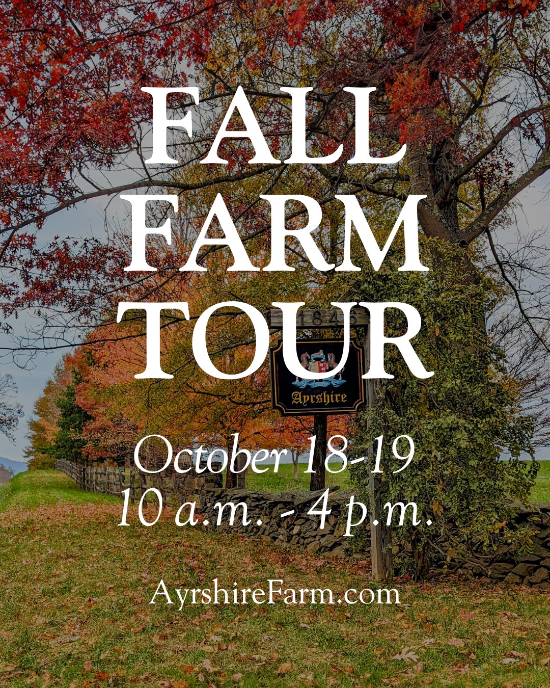 Ayrshire Farm - Ever wondered what life is like on... | Facebook