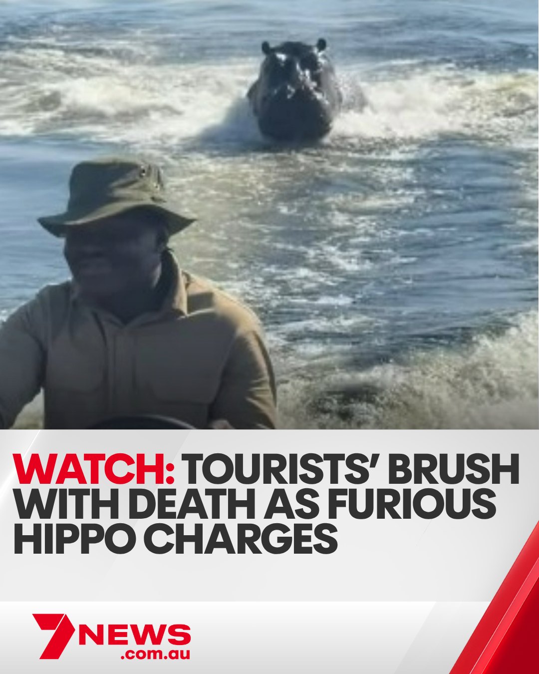 Wild footage has captured the heart-stopping moment a boat