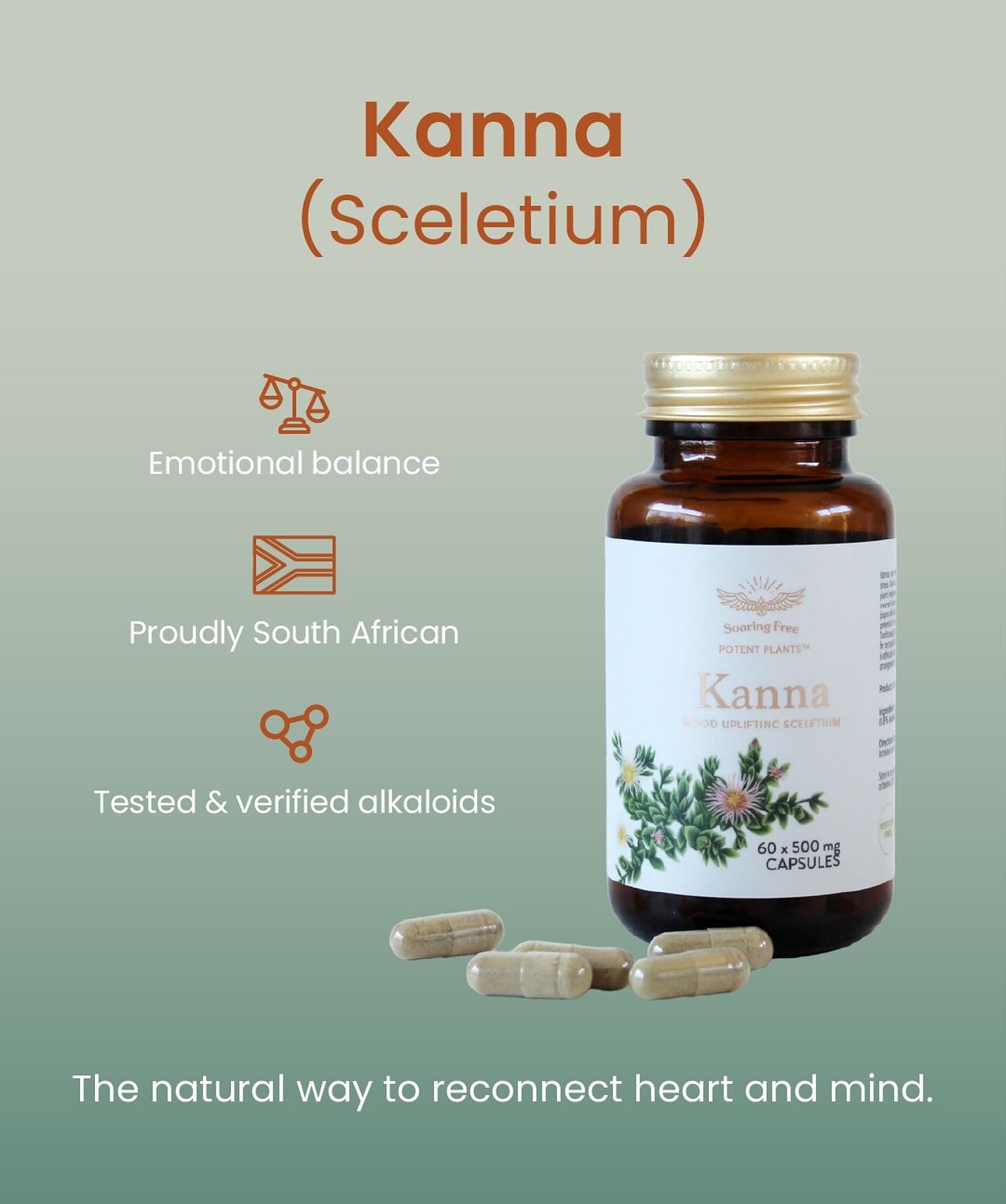 Simply - NEW product alert!! Superfoods Kanna (Sceletium) now in stock ...