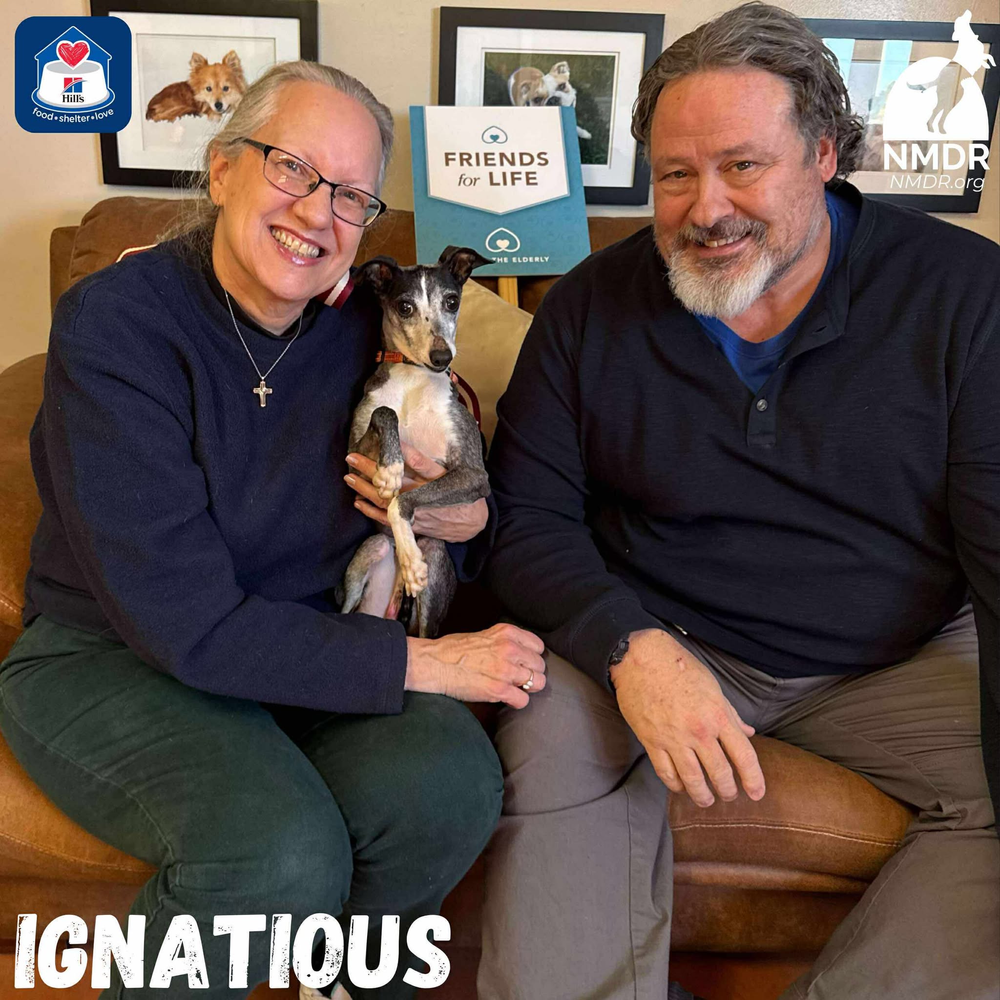 🎉 Celebrating This Week’s... - National Mill Dog Rescue | Facebook