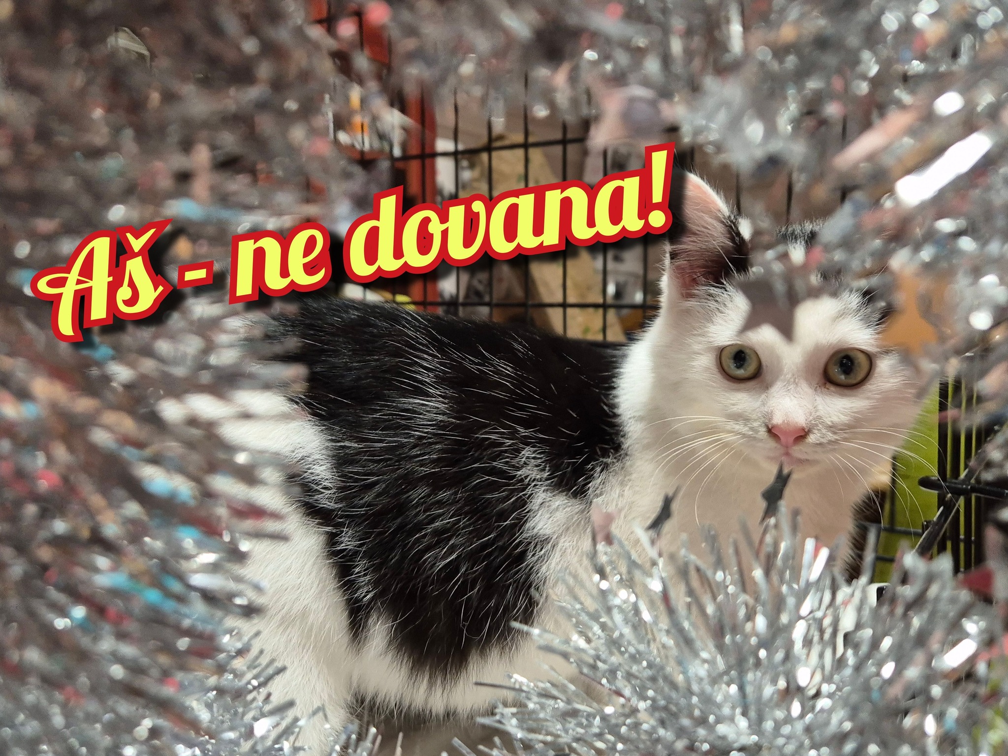 Kavinė Roala - Kavinė Roala added a new photo.