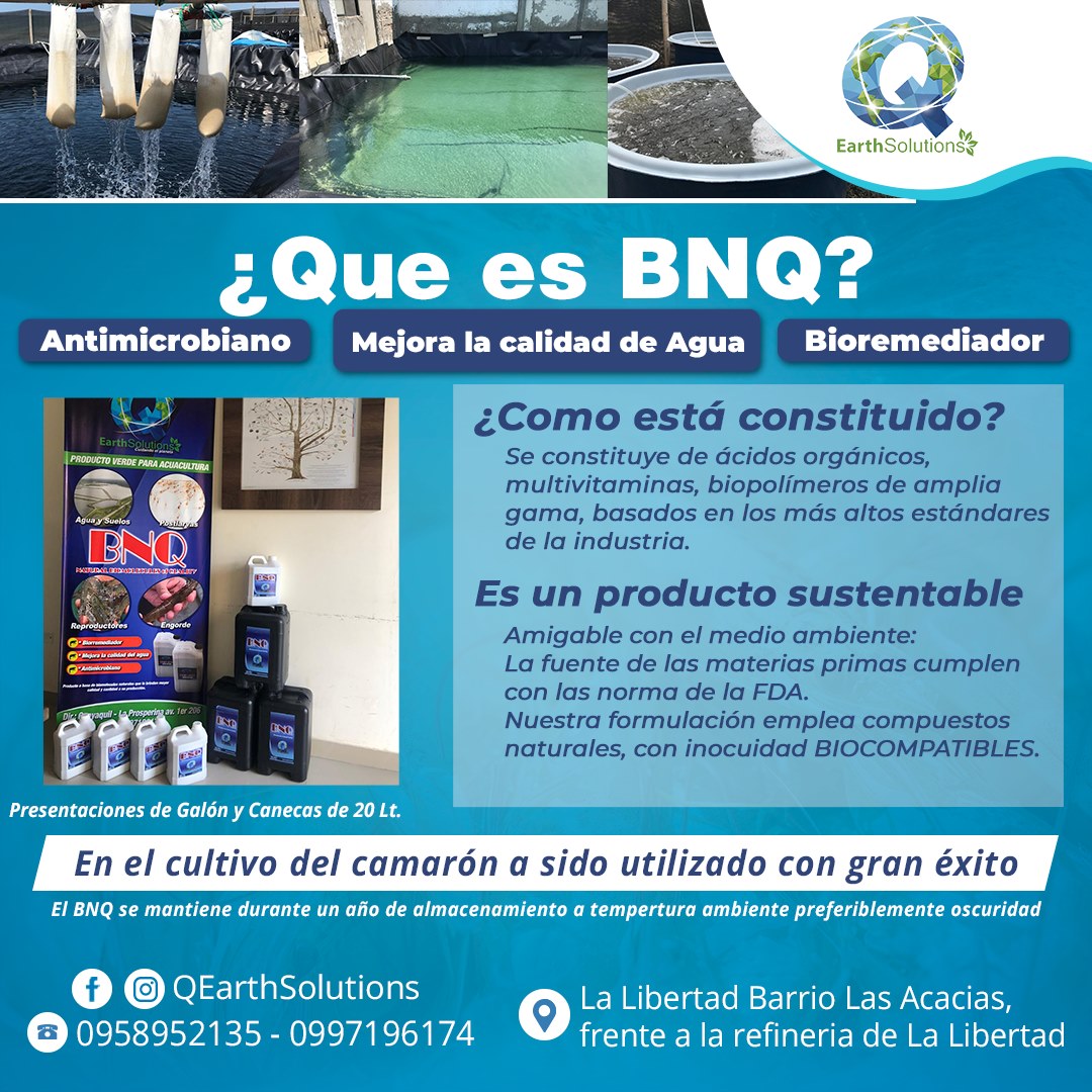 ¿Conoces nuestro Producto BNQ? Aquí... - Q'Earth Solutions