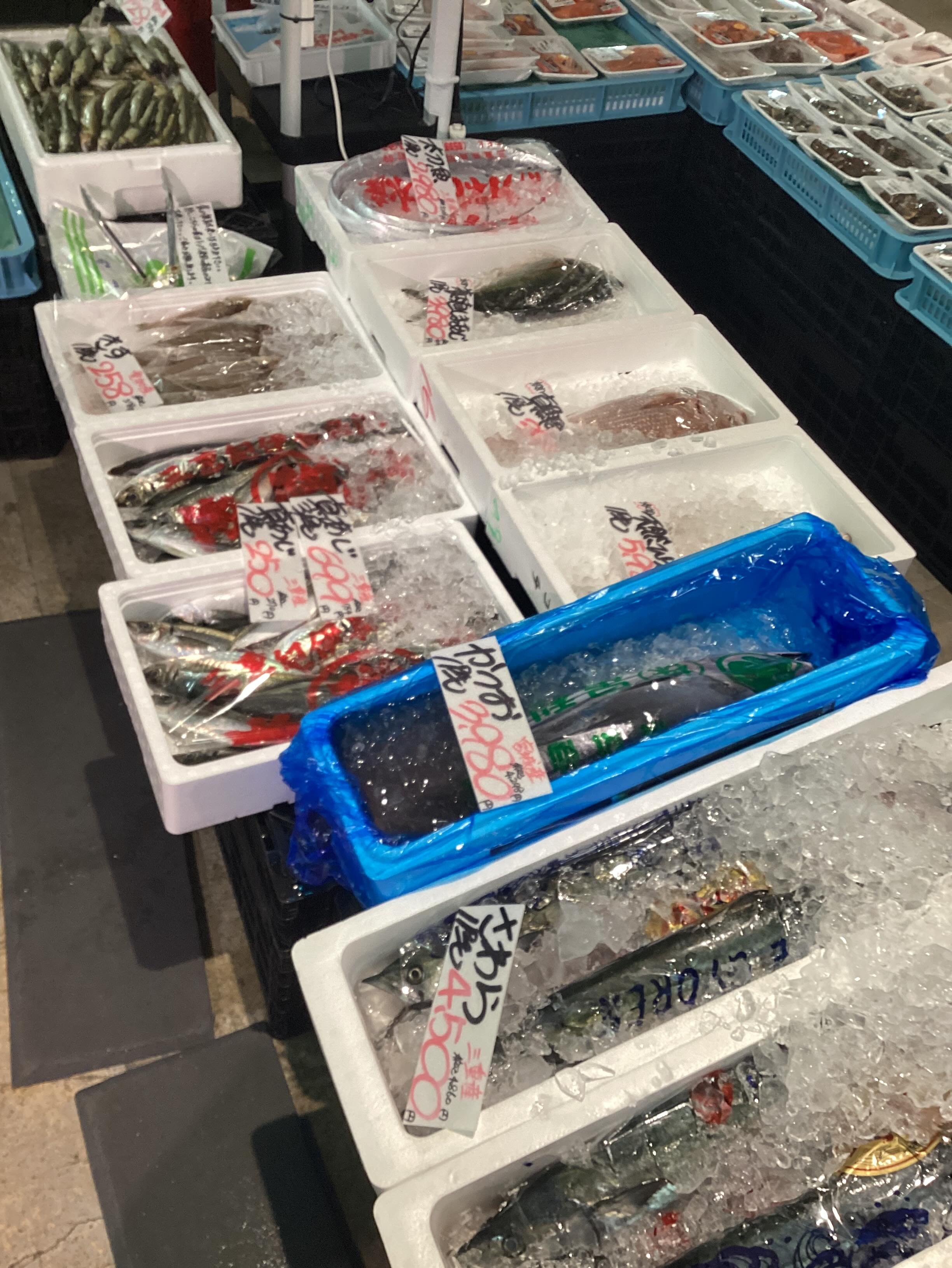 フレッシュライフ 恵那店