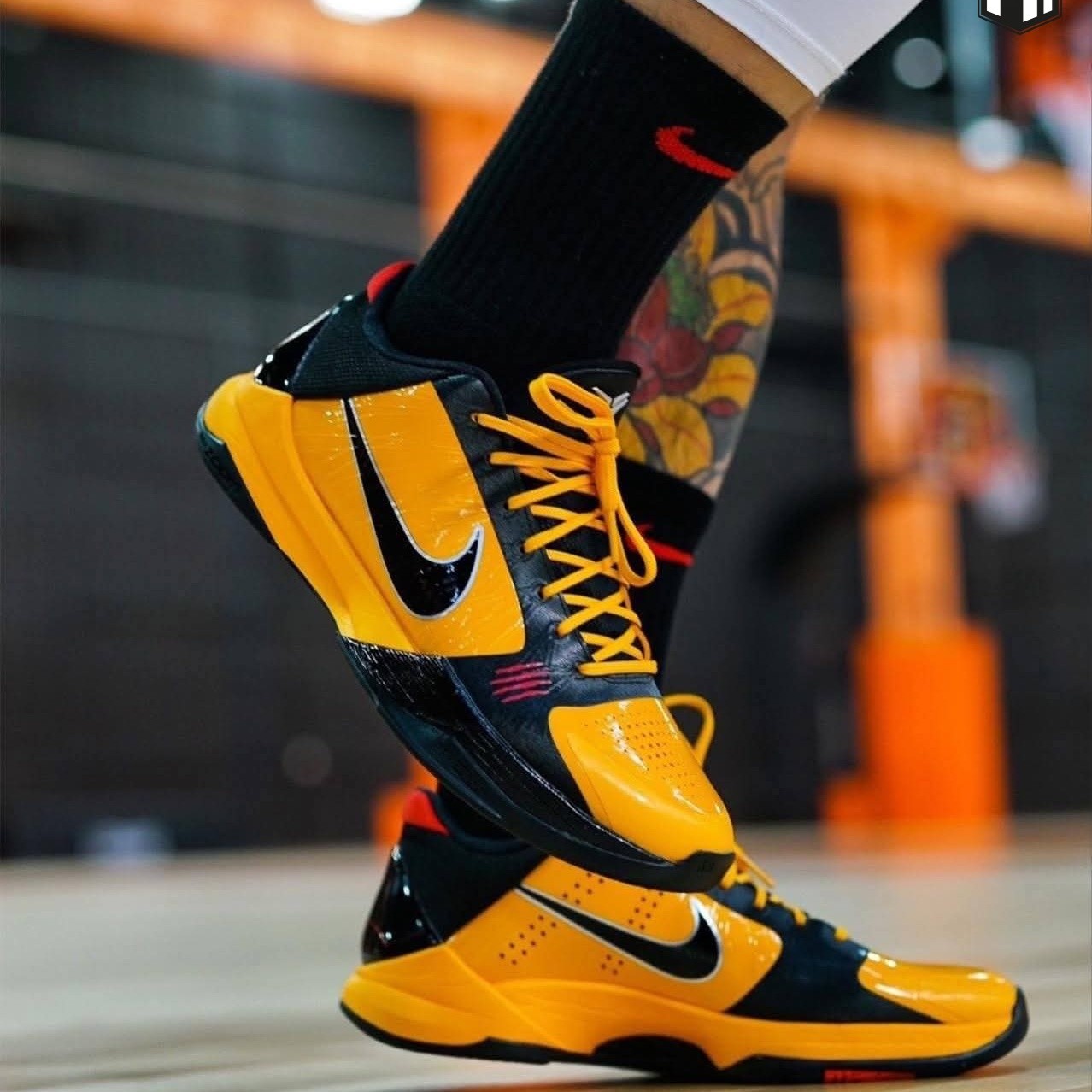 Kobe Protro Rings Nike Kobe Protro 