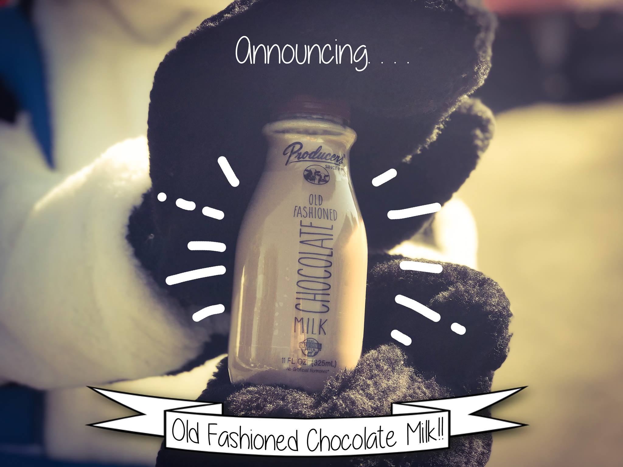 1836 Farms organic chocolate whole milk now at Costco