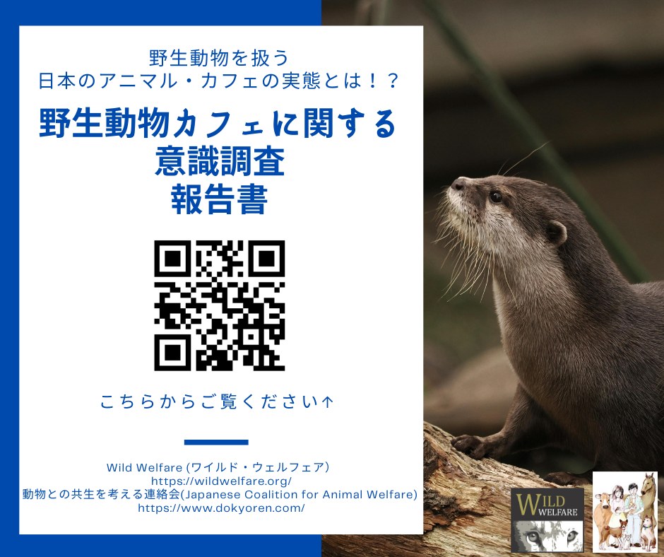 動物との共生を考える連絡会（動共連） (@rennrakukai) • Facebook
