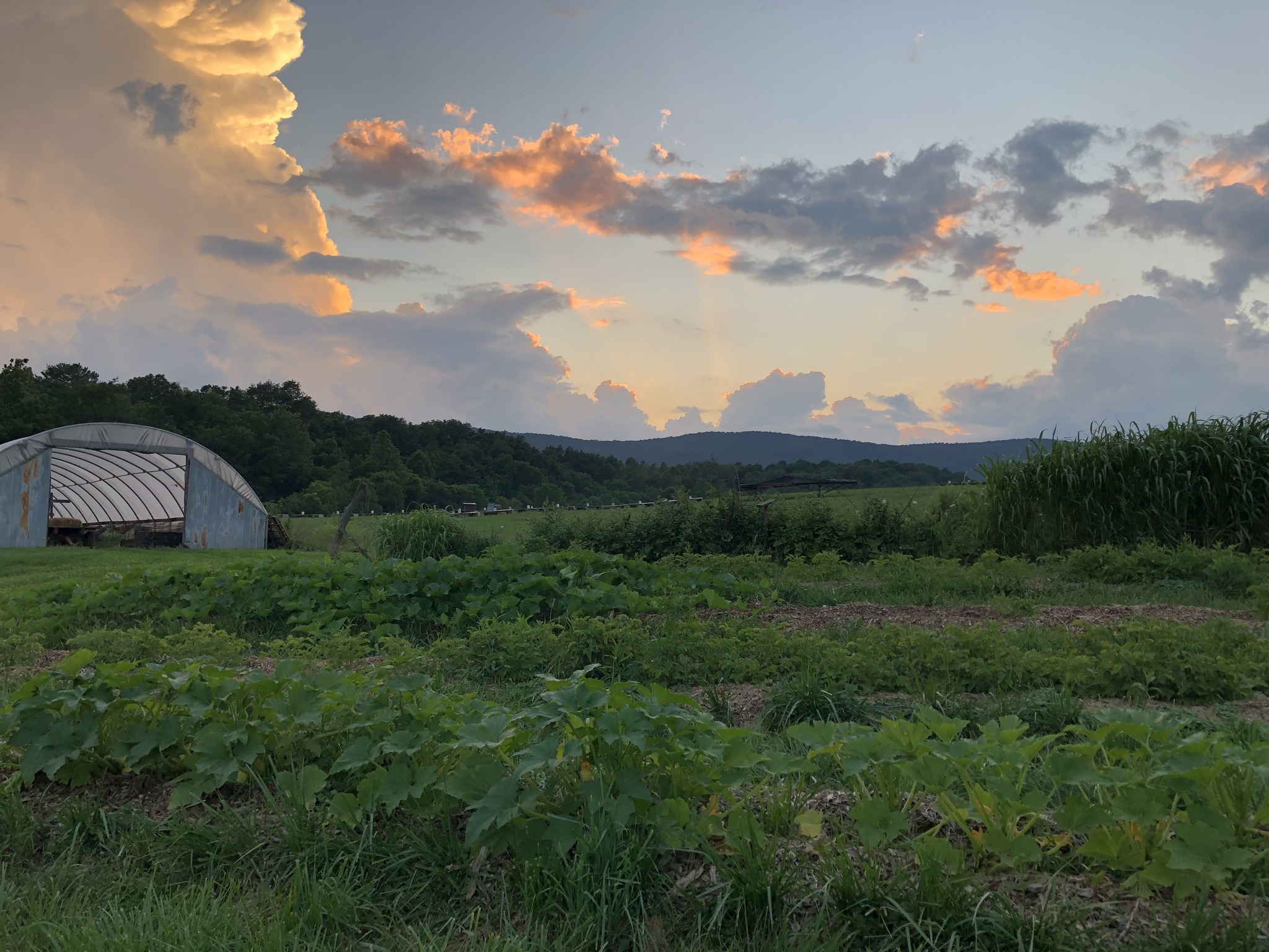 Polyface Farm | Swoope VA