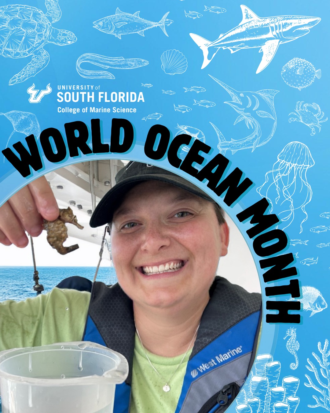 🌊... - University of South Florida College of Marine Science | Facebook