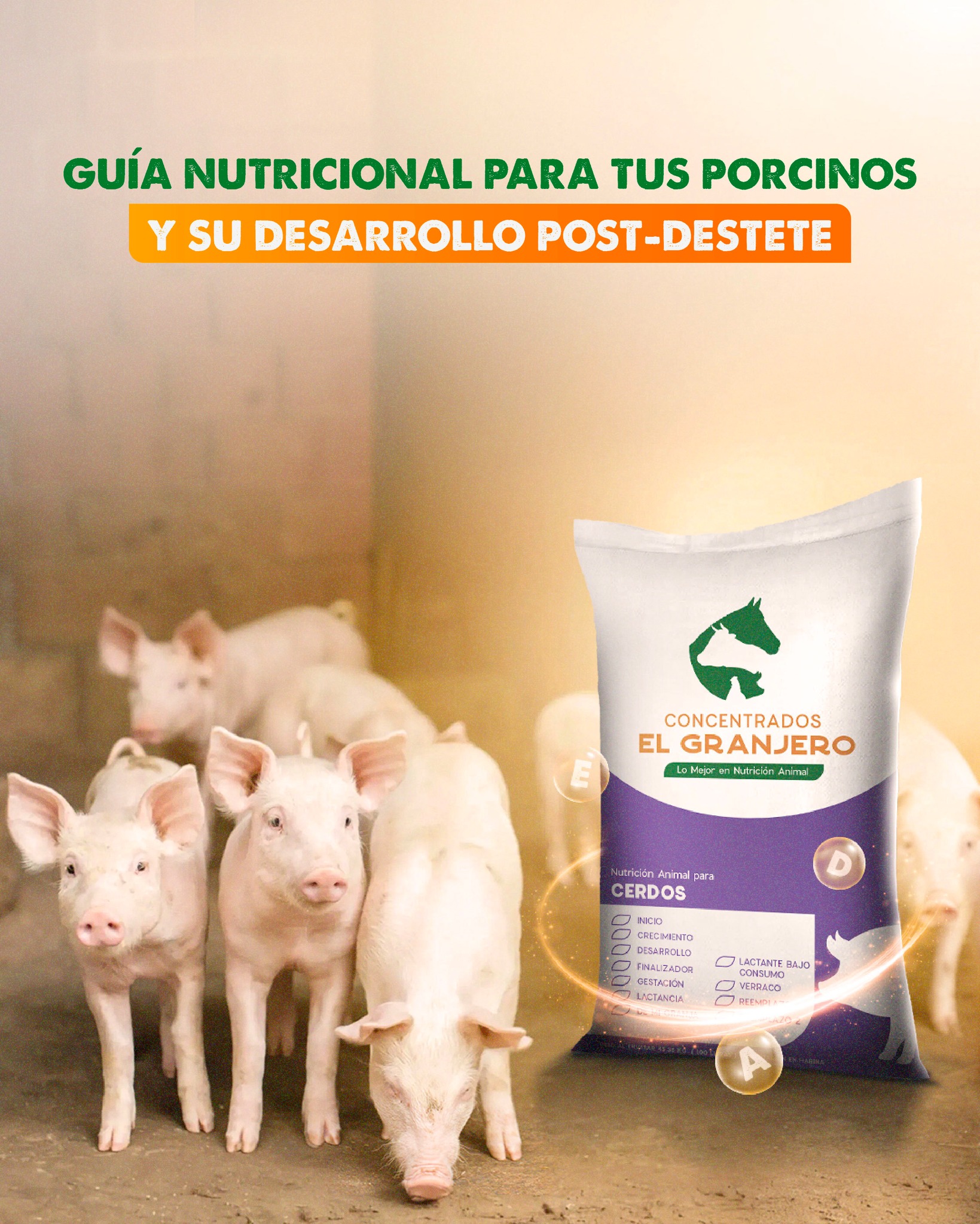 La alimentación adecuada en las... - Concentrados el Granjero | Facebook