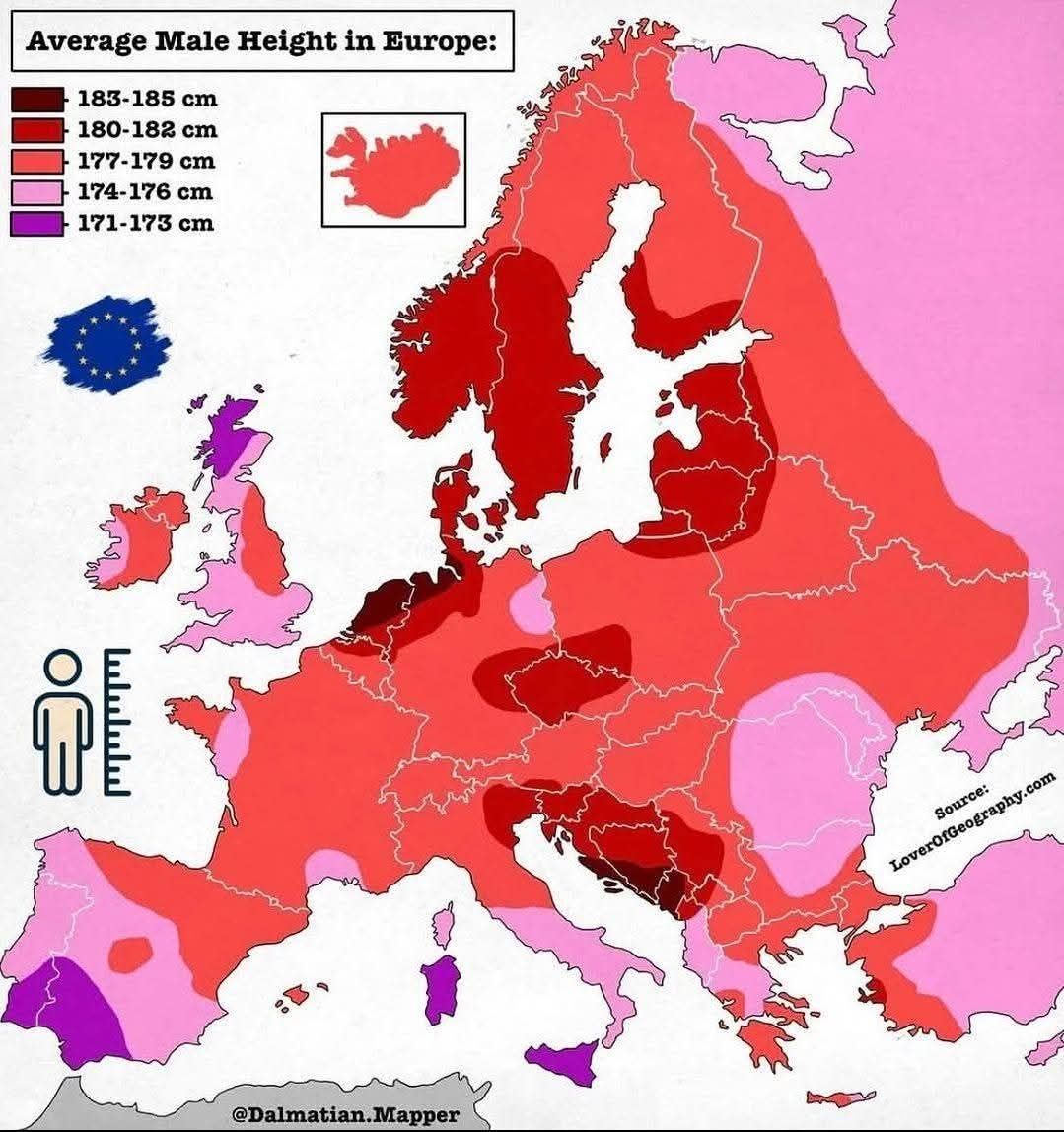 World GeoDemo - 🙋‍♂️🌿🌲Average Male Height in Europe. | Facebook