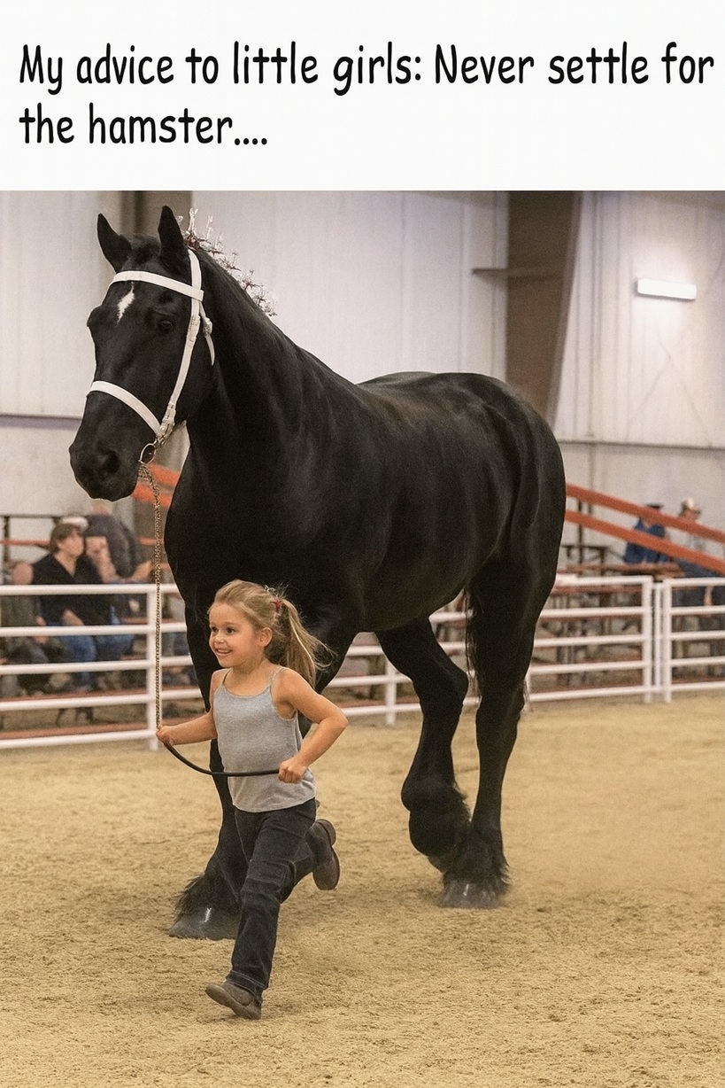 Stable - Good Advice :-) ' ' ' ' #horses #fblifestyle #rodeo | Facebook