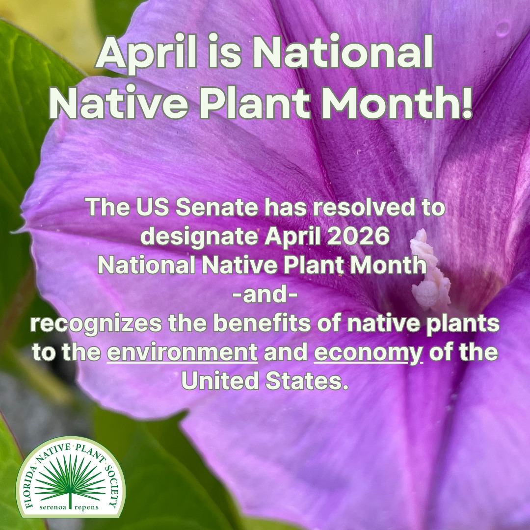 Just a few days left of #NativePlantMonth 🌼🌸🏵️ This month, you