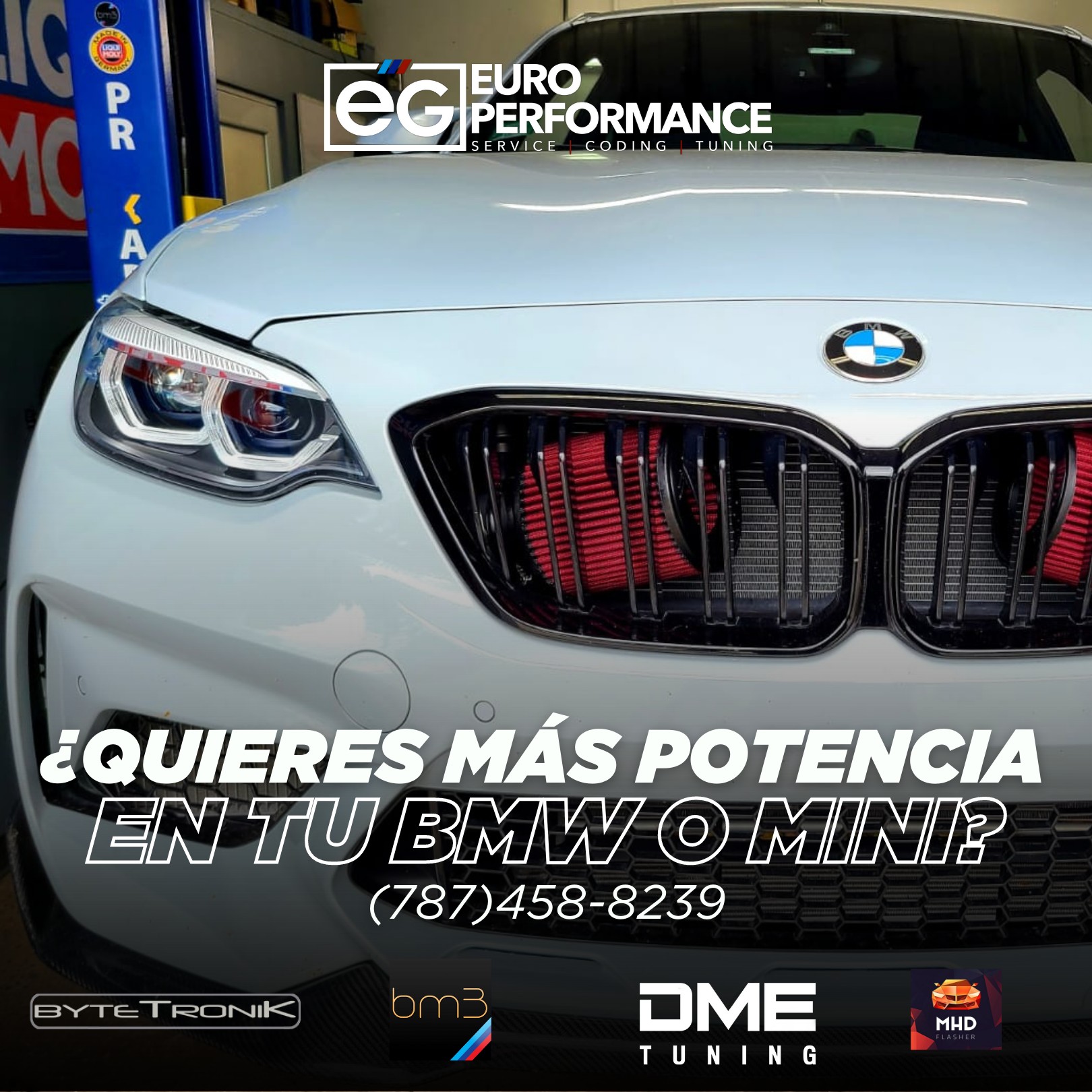 EG Euro Performance - ¿Quiere más potencia? En EG Euro Performance ...