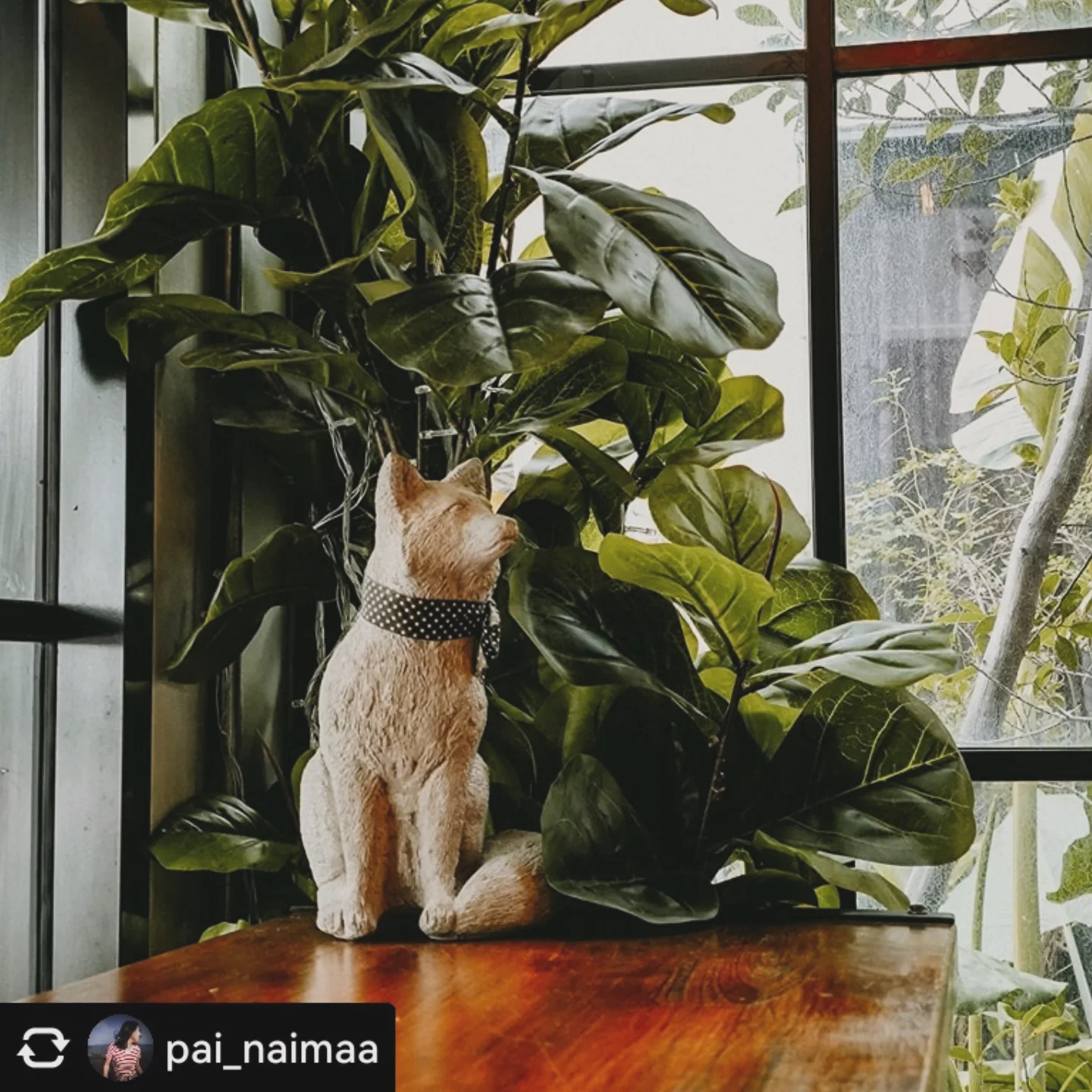 Lab - thanks : pai_naimaa 🔖 Lab Espresso coffee bar ถนน ค2 ระยอง ร้าน ...