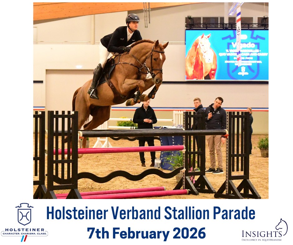 The Holsteiner Verband Stallion Parade - 7th February 2026