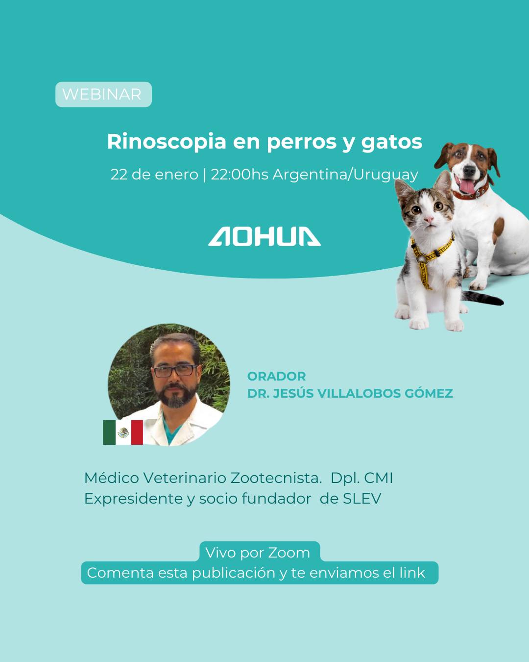Medify - Aprende sobre rinoscopia en perros y gatos: sus indicaciones ...