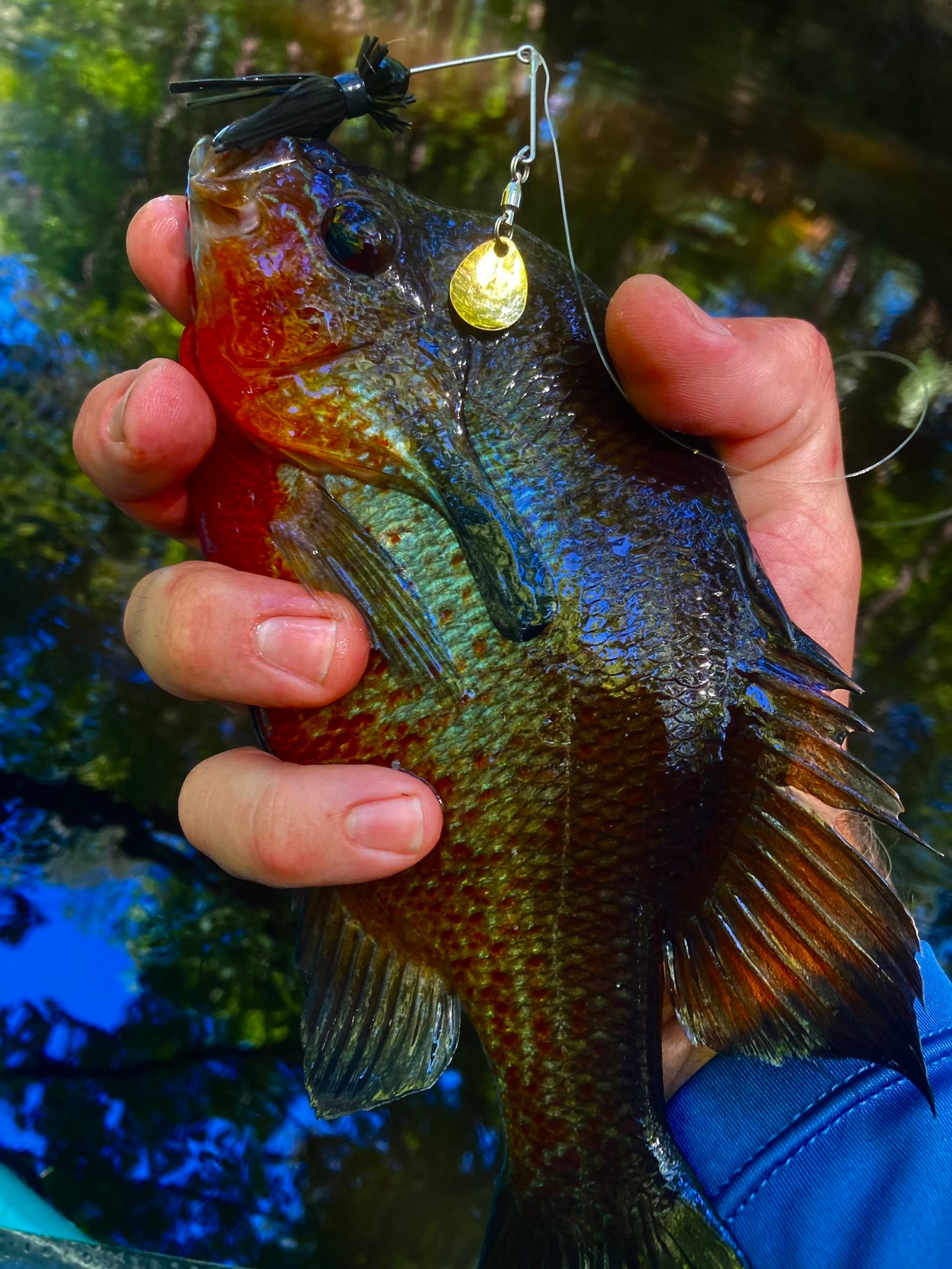 40 fishing net Beyond Braid Floating with Handle Sibling:veritas-spinning-combo Size:2500D-H aliexpress.com daiwa d-shock dsh20-2b Folded length