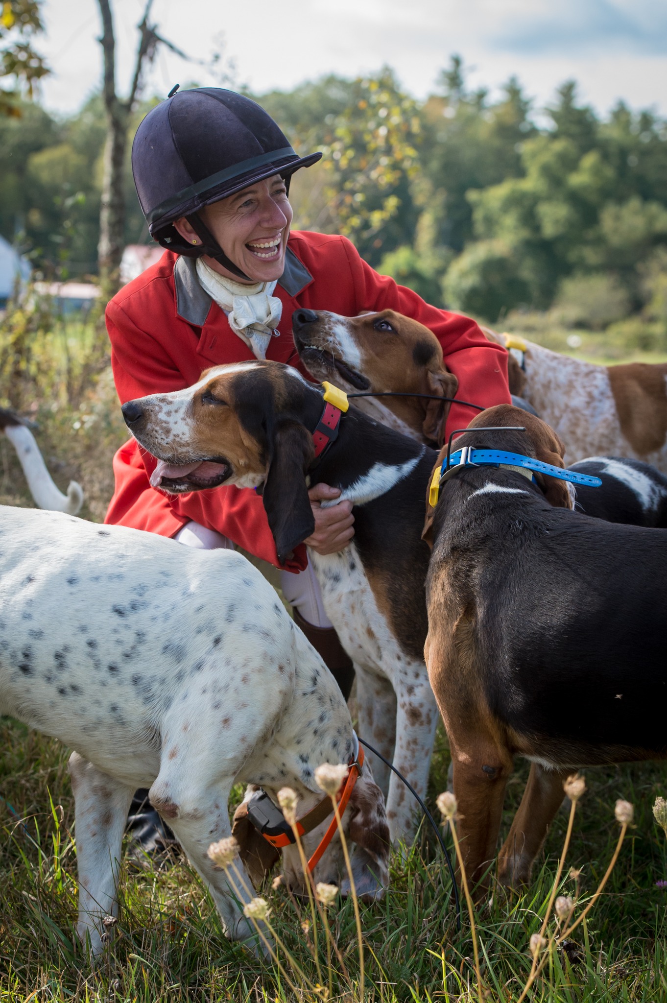Suddenly - Photos from The Blessing of the Hounds are on the website ...