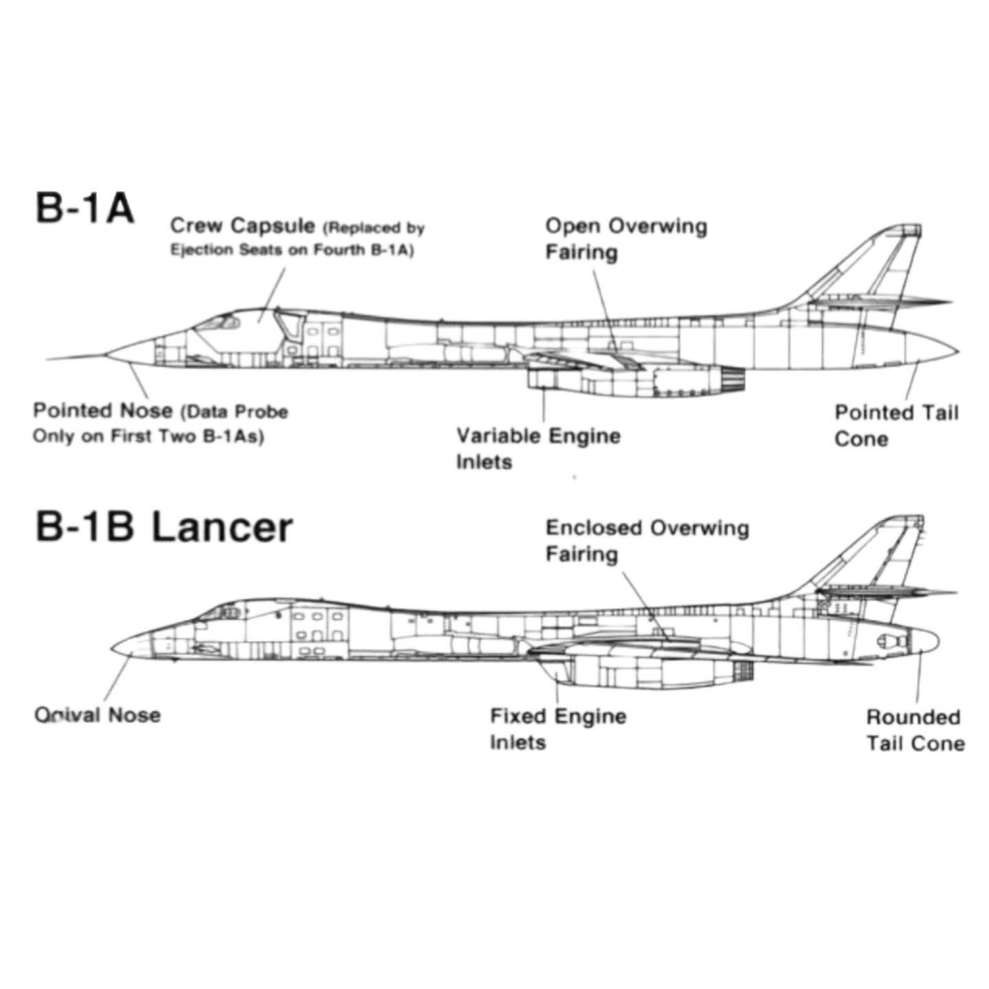 Boneyard - Comparison of the A and B model Bone. #b1bone # ...