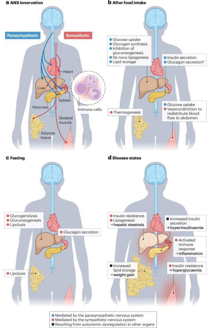 Cardiophilia - Emergency Department (ED) Management of Headache ...