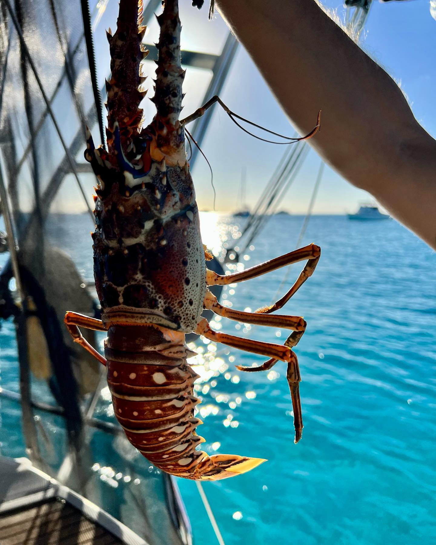 icon airflite helmet visor protector PSLER IC-06 visor- Face Shield Motorcycle Accessories Replacement for Icon Airflite IC-06,Deep Gold : Automotive Hey Sun Devils! 👋 Mirrored ForceShield visor for Custom build your DIVE Earth Science Kit Size:Large (Black)