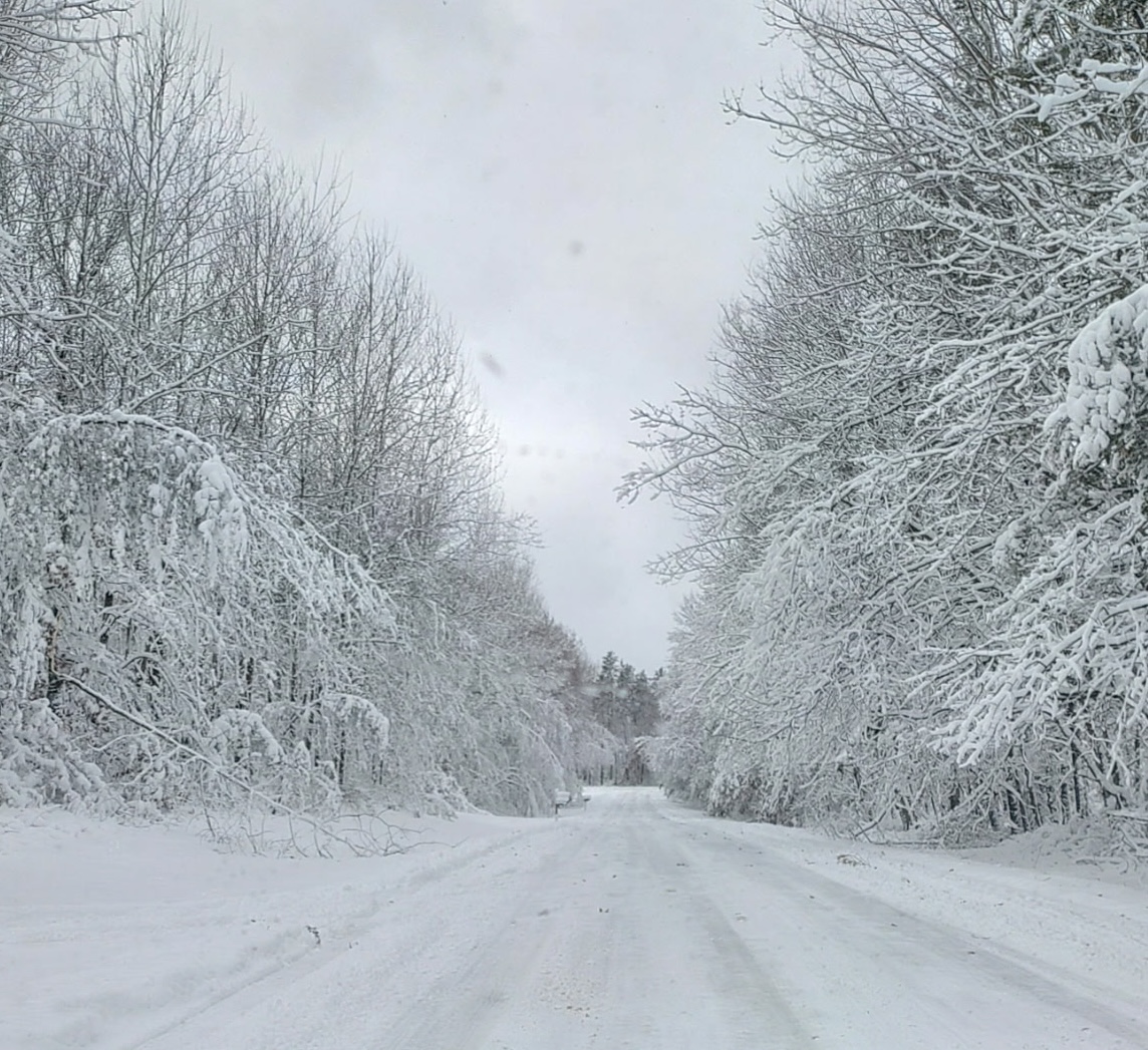 Sarah Rudlang - Meanwhile in Minnesota... 😍☃️ My brother,... | Facebook
