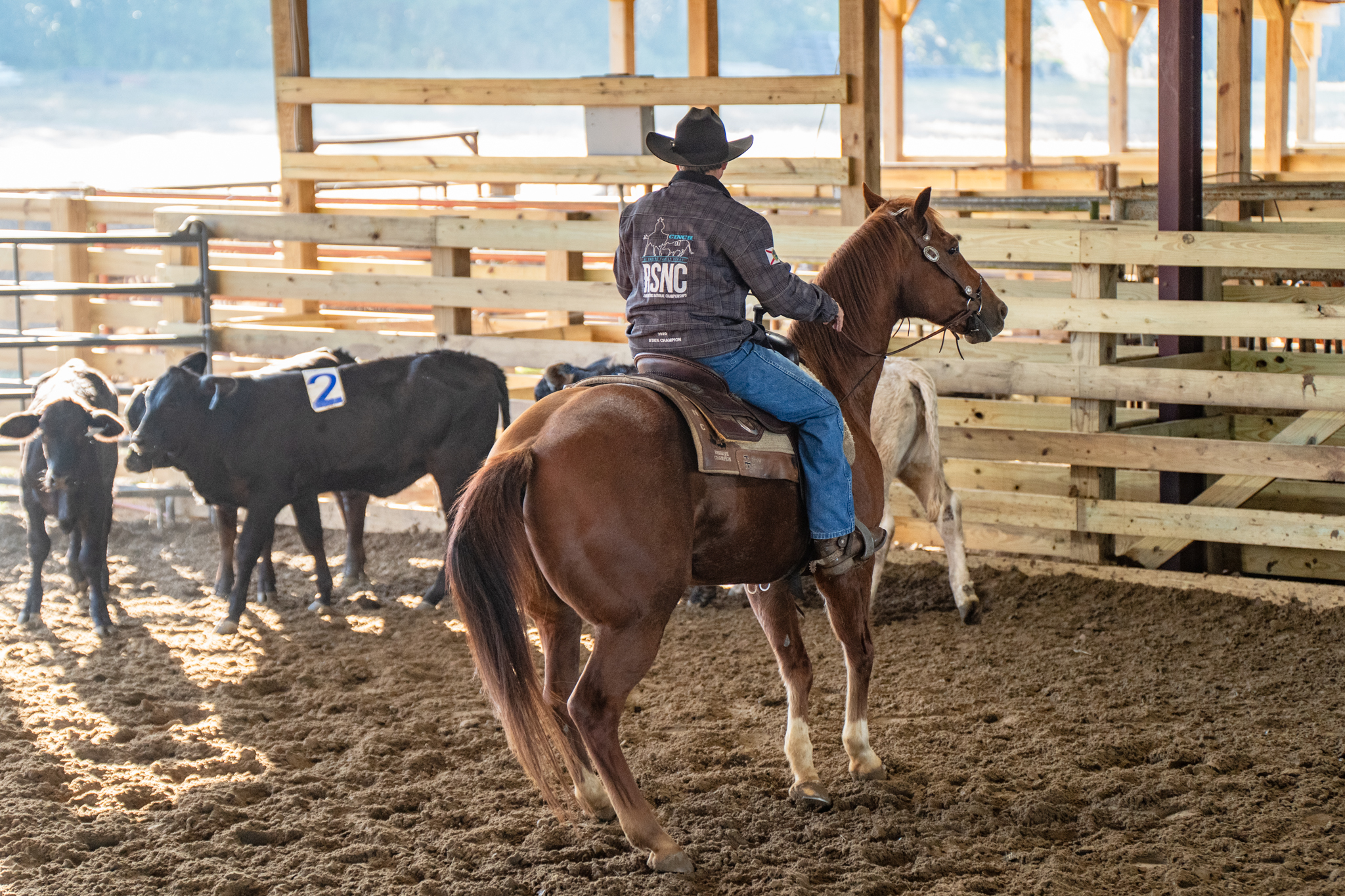 Southern Ranch Sorting added... - Southern Ranch Sorting | Facebook