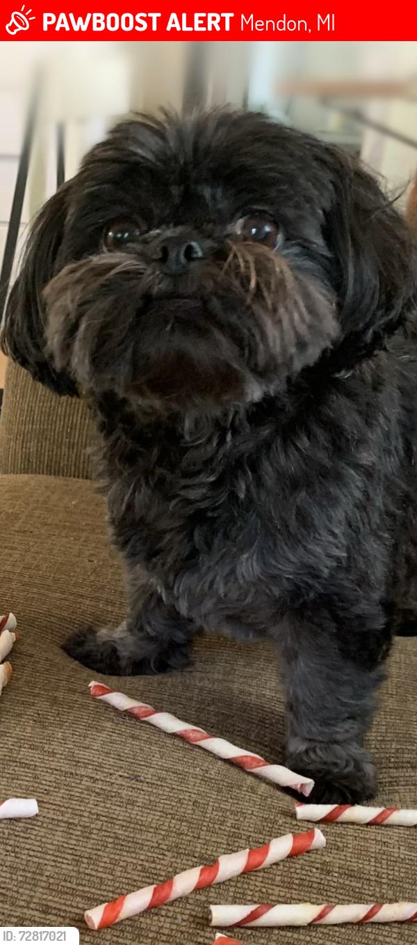 【新品タグ付】she tokyo suzy dark gray 36 UPDATE: REUNITED!! Suzy is home safe & sound after 2 days, 7 hours