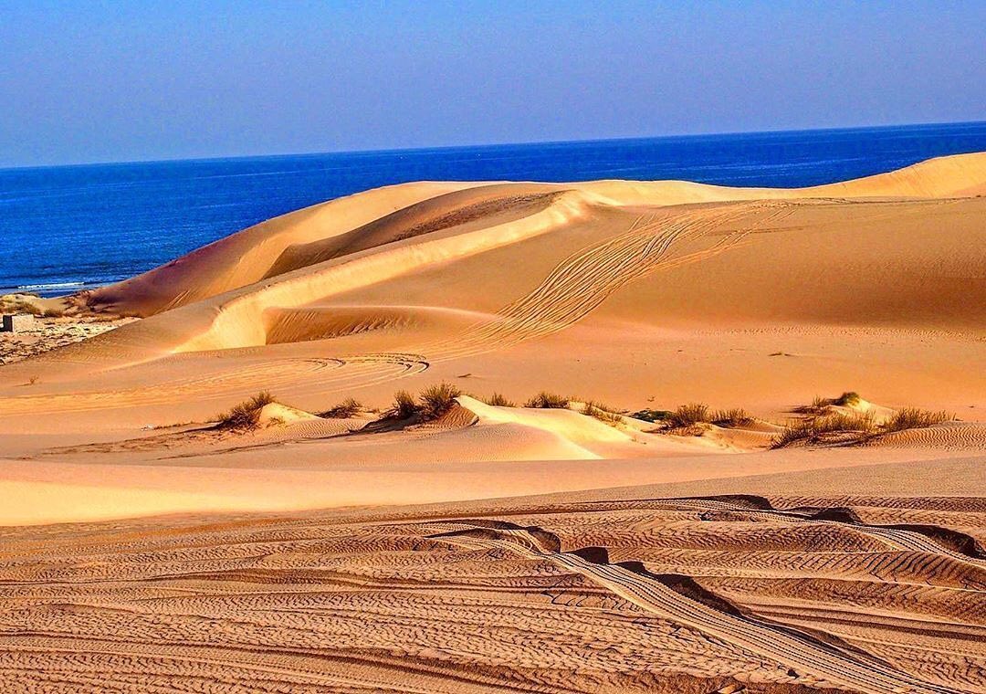 Al - #oman #campingoman #italientraveller #italien #traveloman #german ...