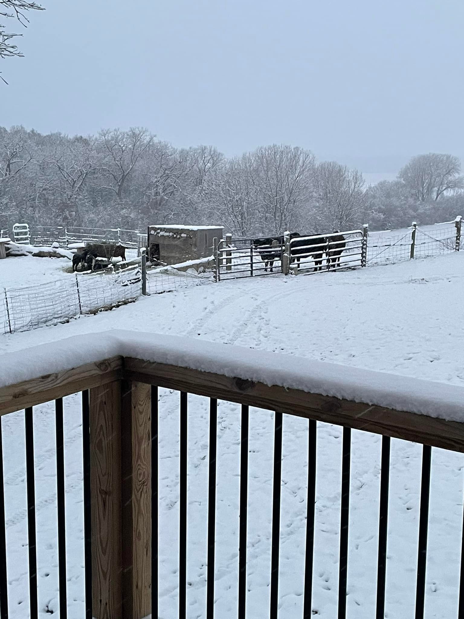Triple S Ranch