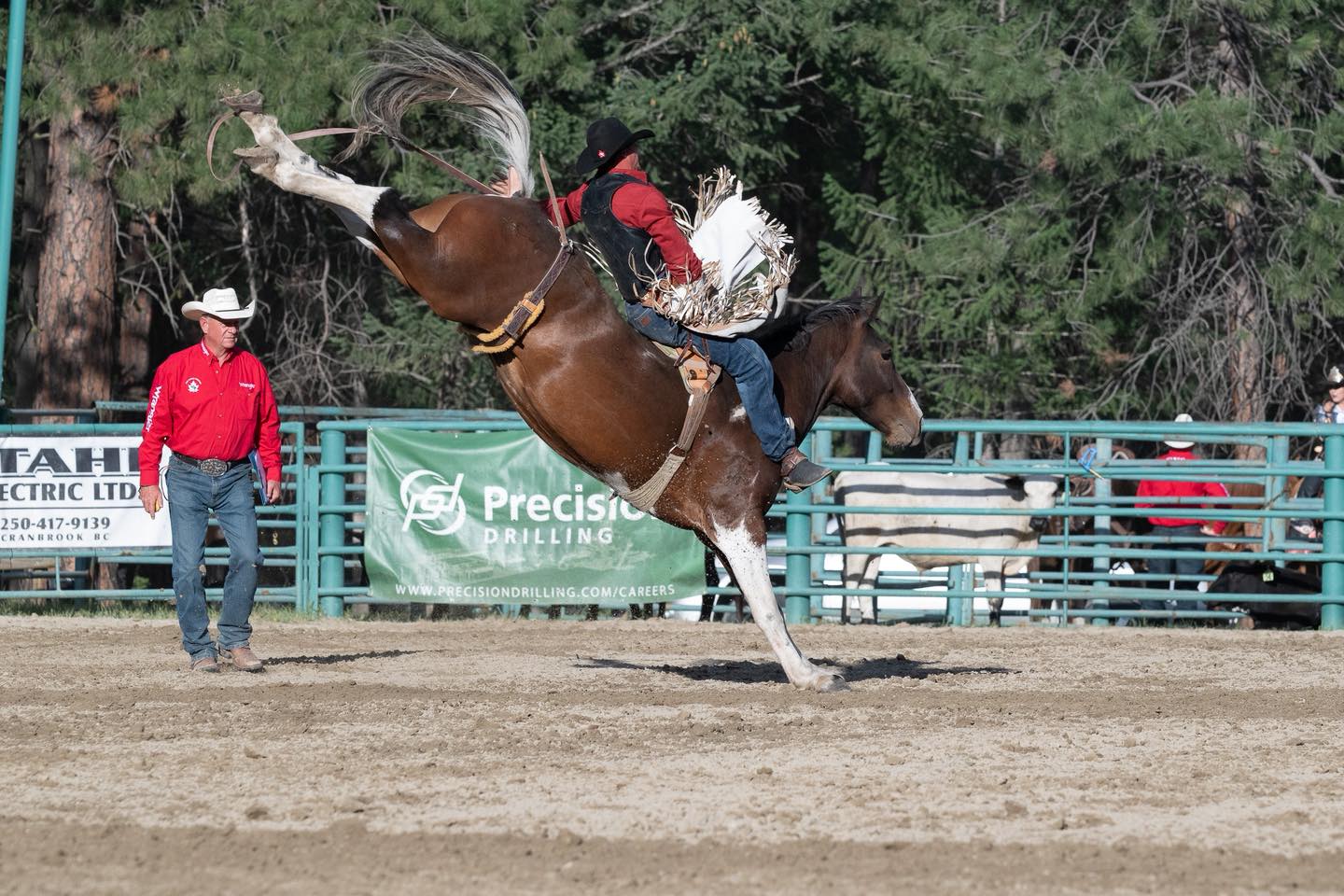 Cranbrook Pro Rodeo | Cranbrook BC
