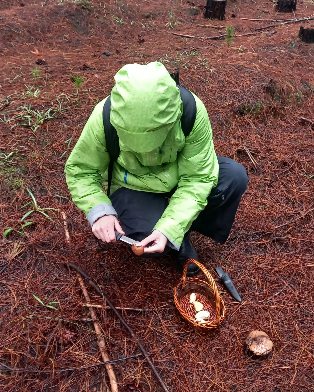 Wild Foraging Margaret River