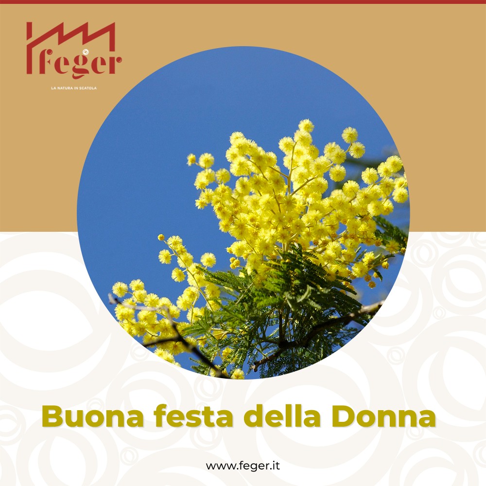 Feger - 𝐆𝐢𝐨𝐫𝐧𝐚𝐭𝐚 𝐈𝐧𝐭𝐞𝐫𝐧𝐚𝐳𝐢𝐨𝐧𝐚𝐥𝐞 𝐝𝐞𝐥𝐥𝐚 𝐝𝐨𝐧𝐧𝐚🌺 💛Che sia una... | Facebook